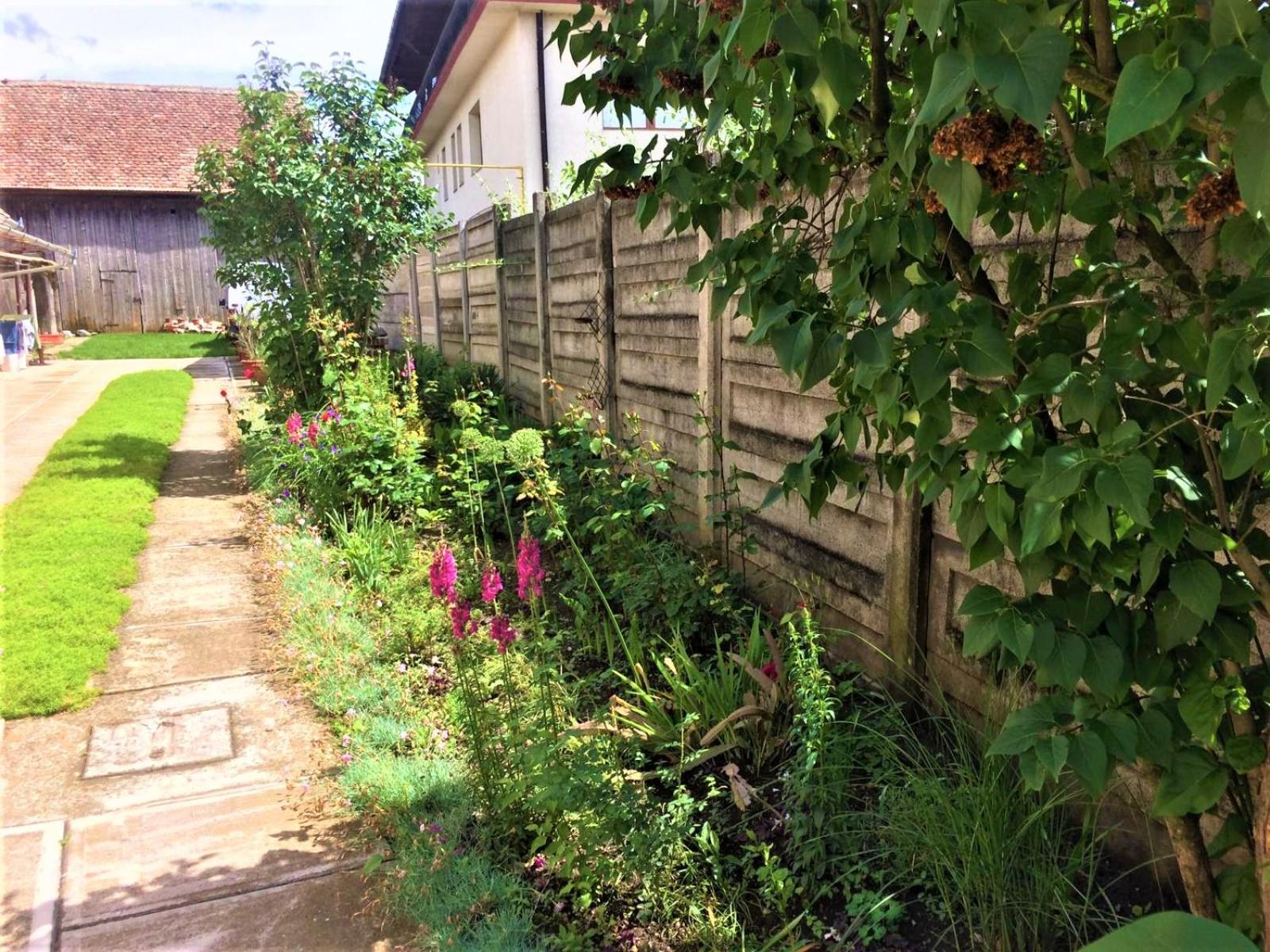 Photo 30