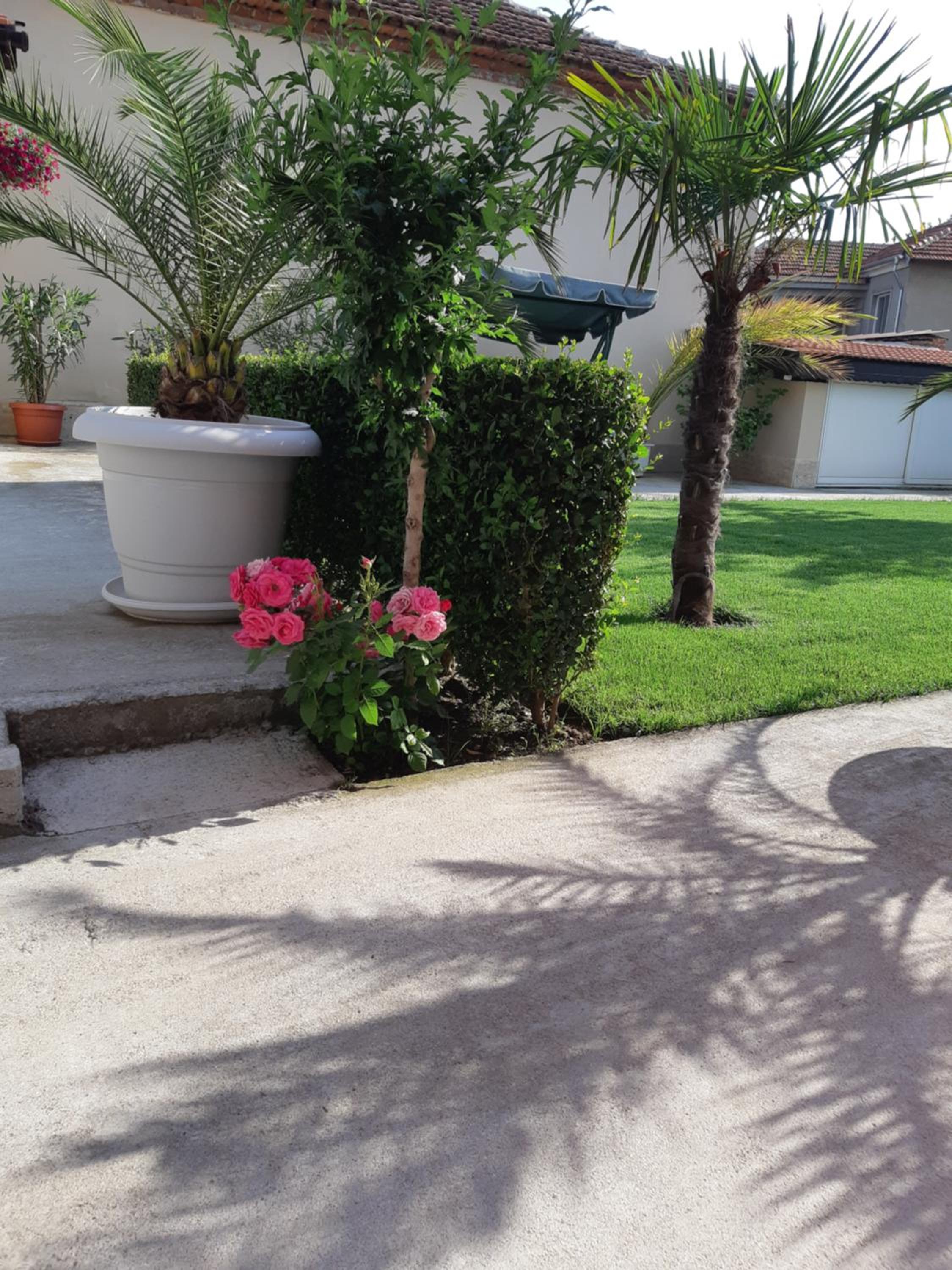 Villa Ros Guest House
