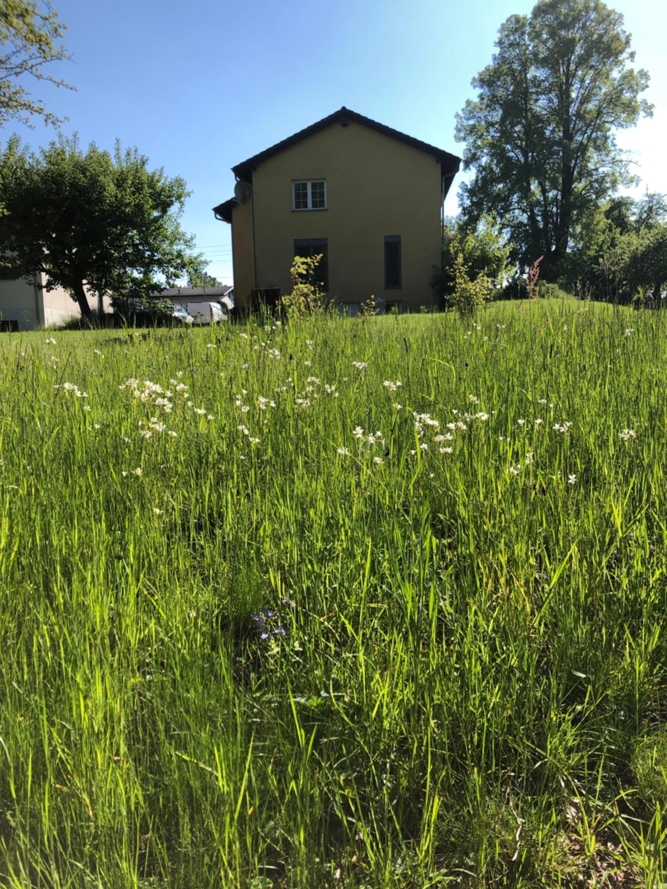 Photo 33