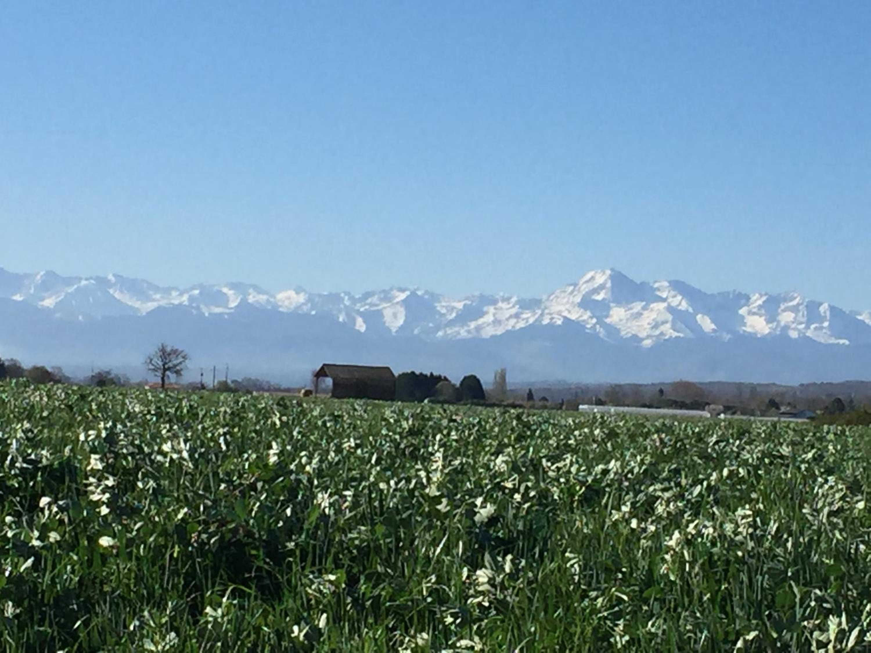 Photo 52