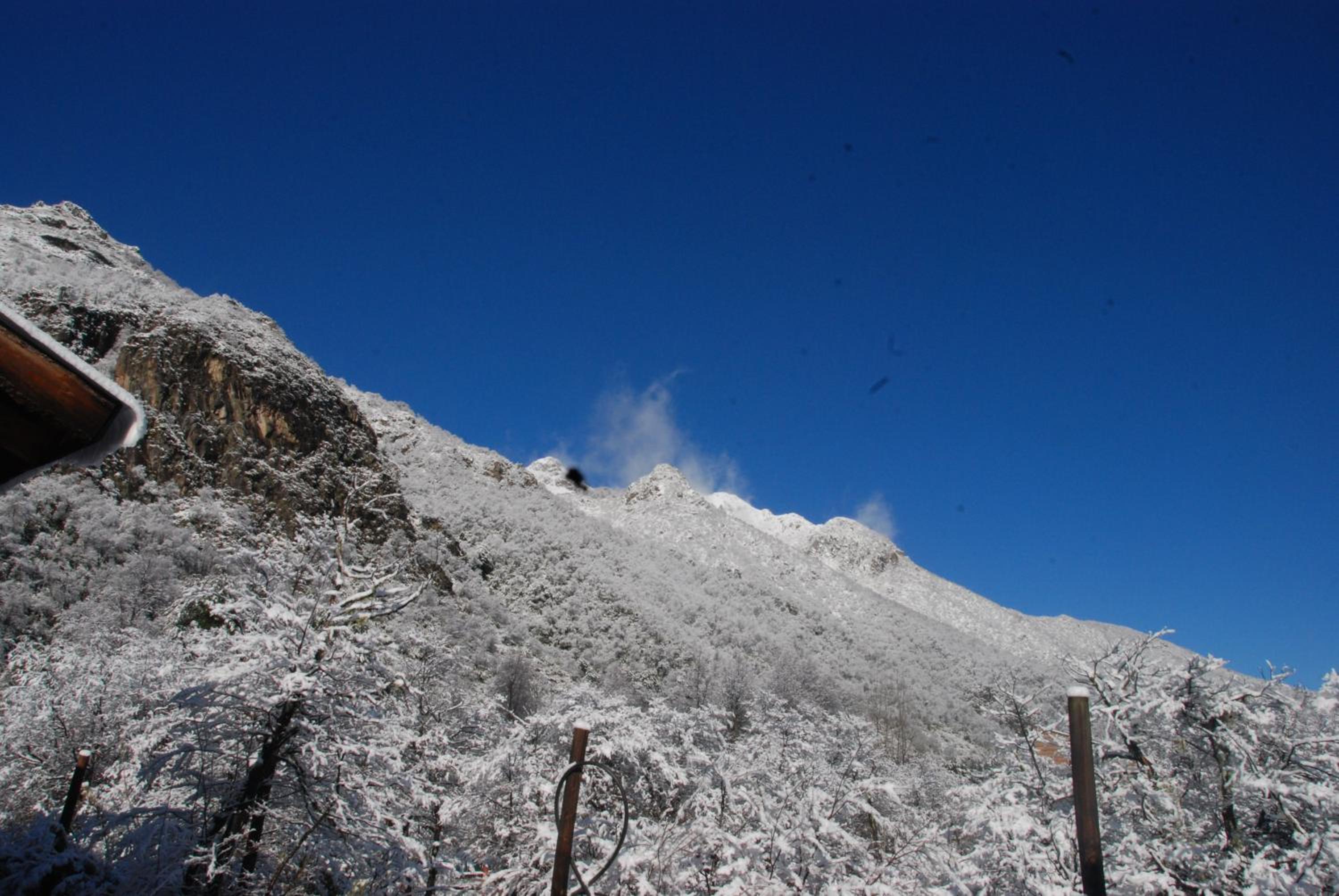 Photo 47