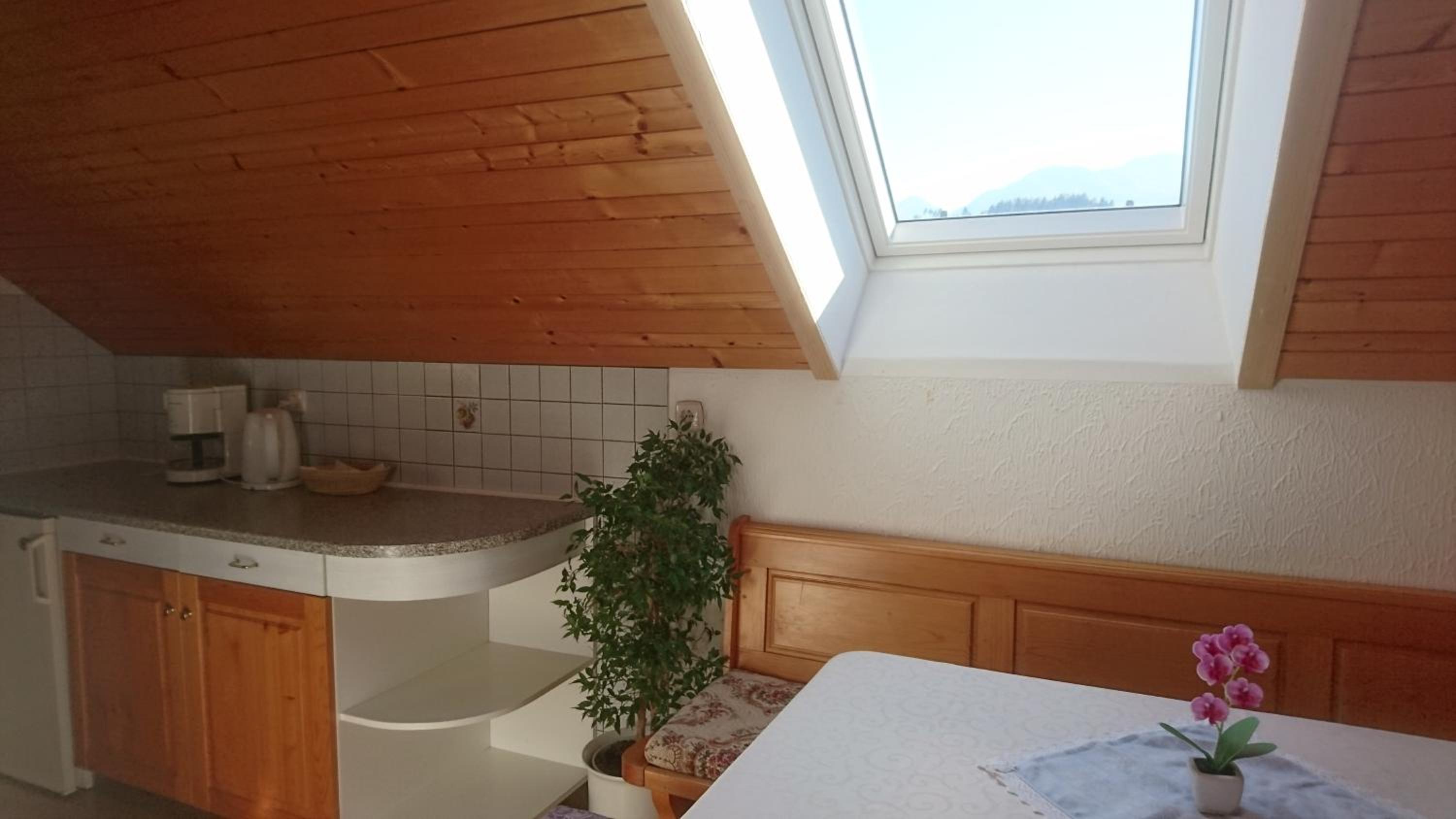 Apartmaji Marinka Hodnik view 2