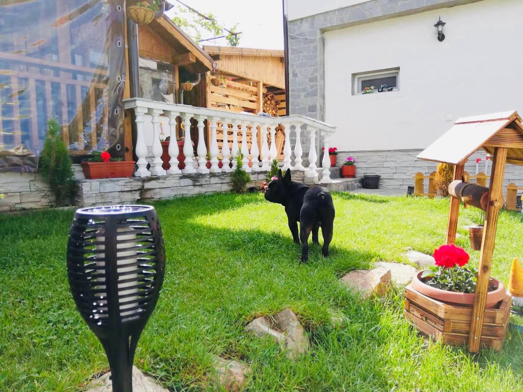 Guest house Grahlyov