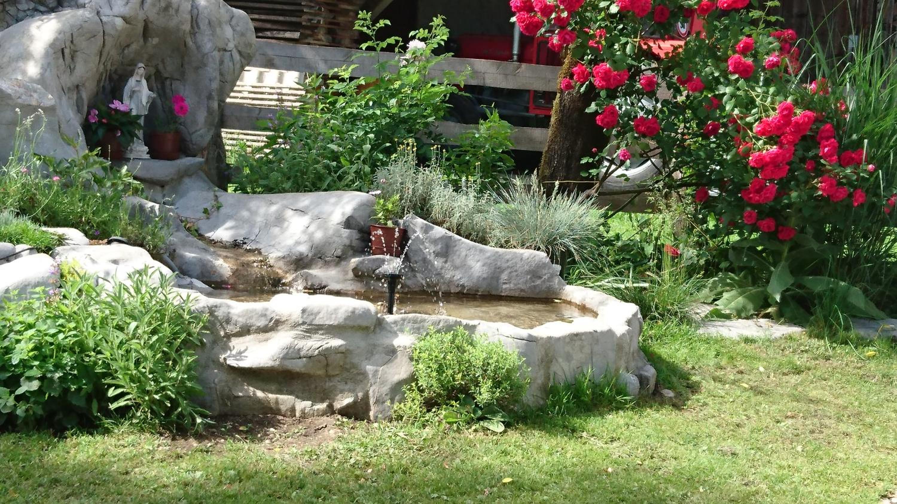 Photo 9