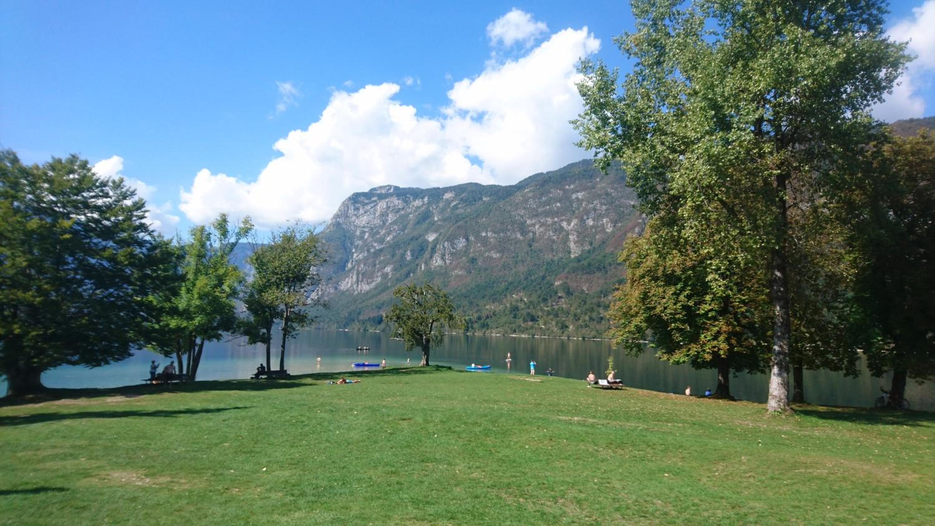 Photo 19