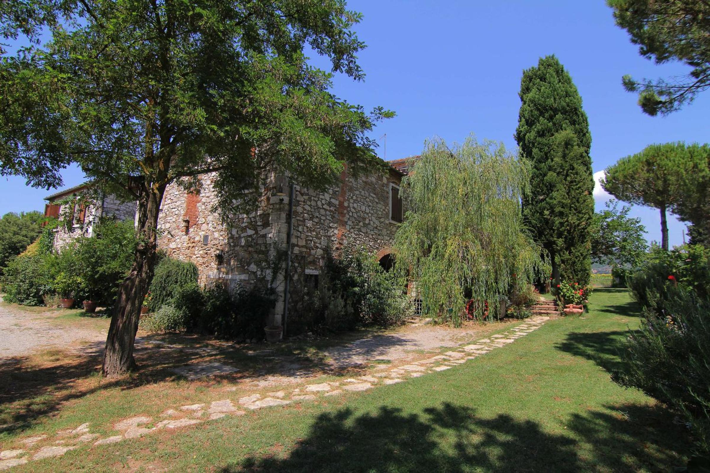 Photo 11
