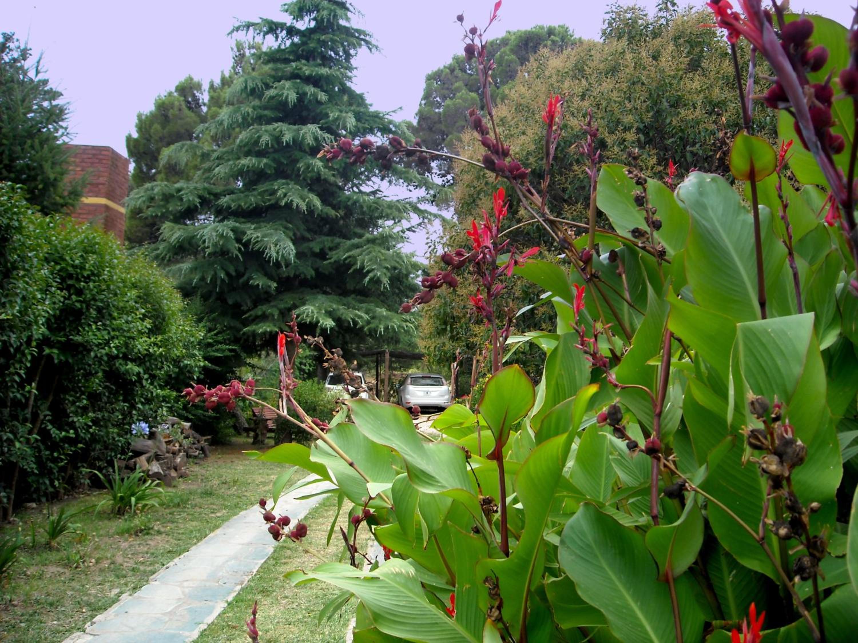 Cabañas Caramelo