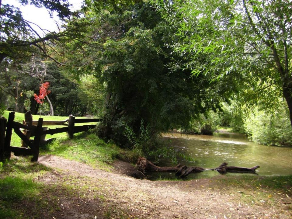 Los Coihues camping & hostel
