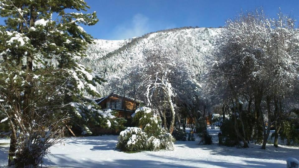 Los Coihues camping & hostel