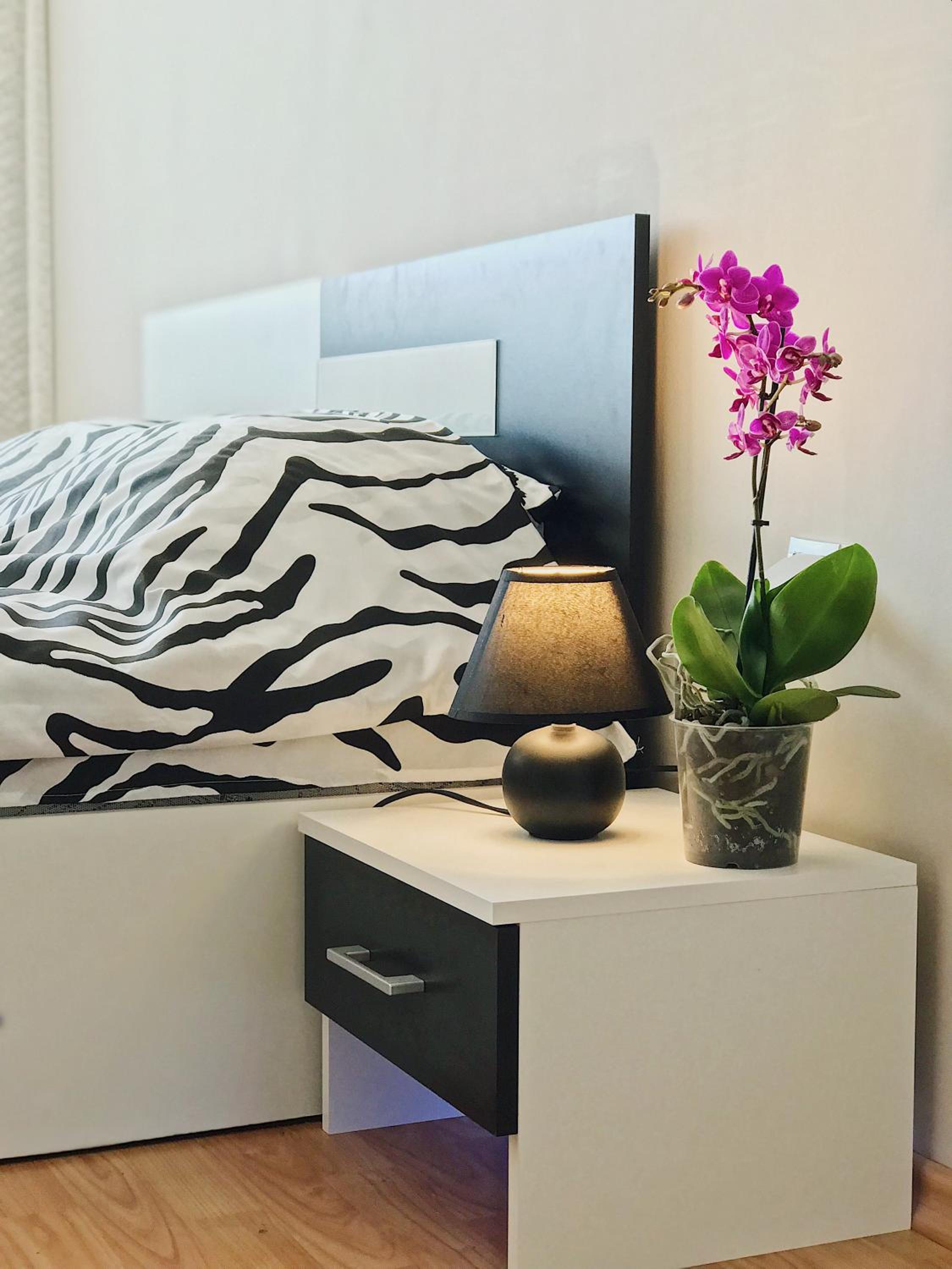 Spacious and Bright Maisonette Varna Center