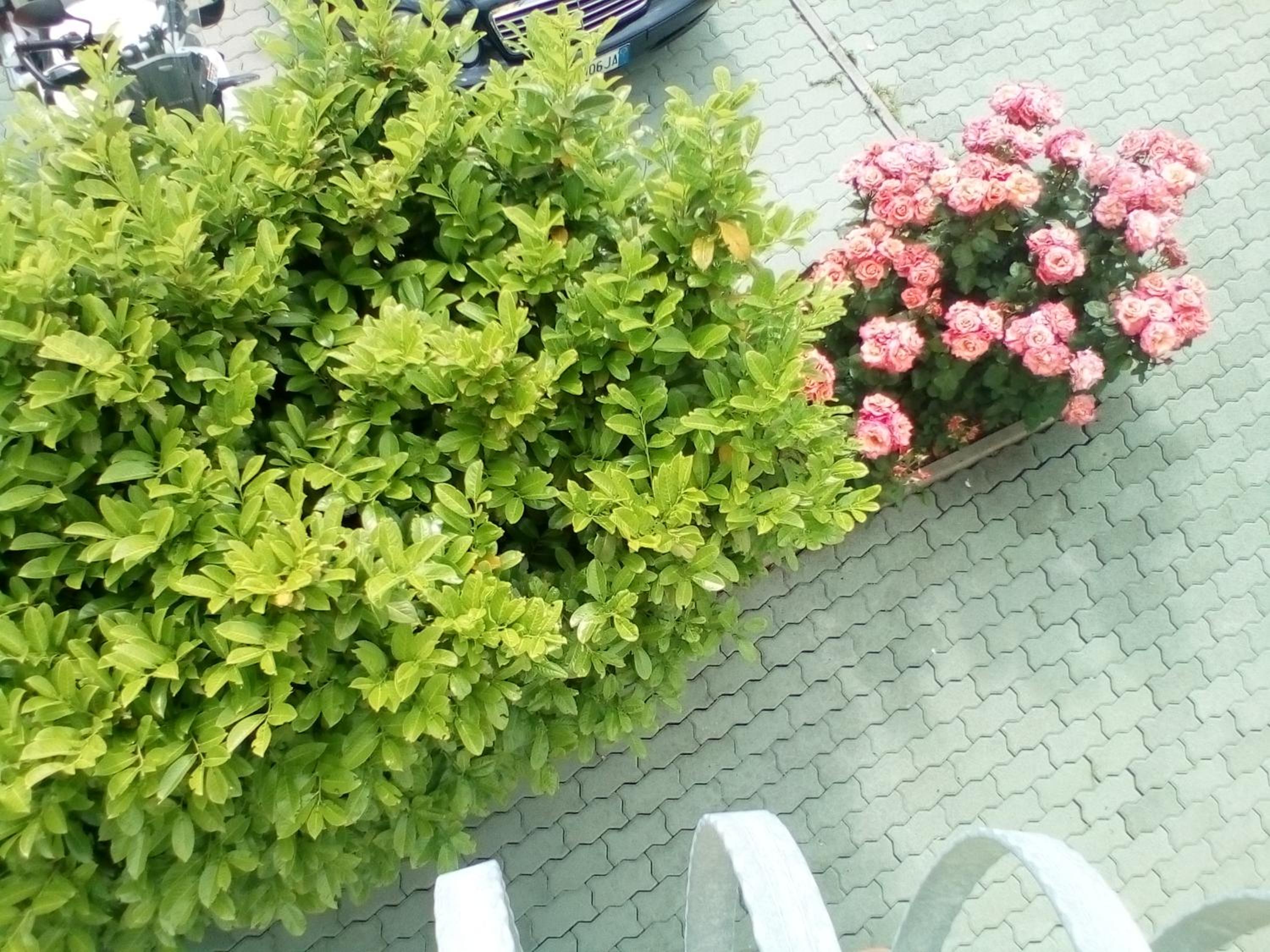 Photo 23