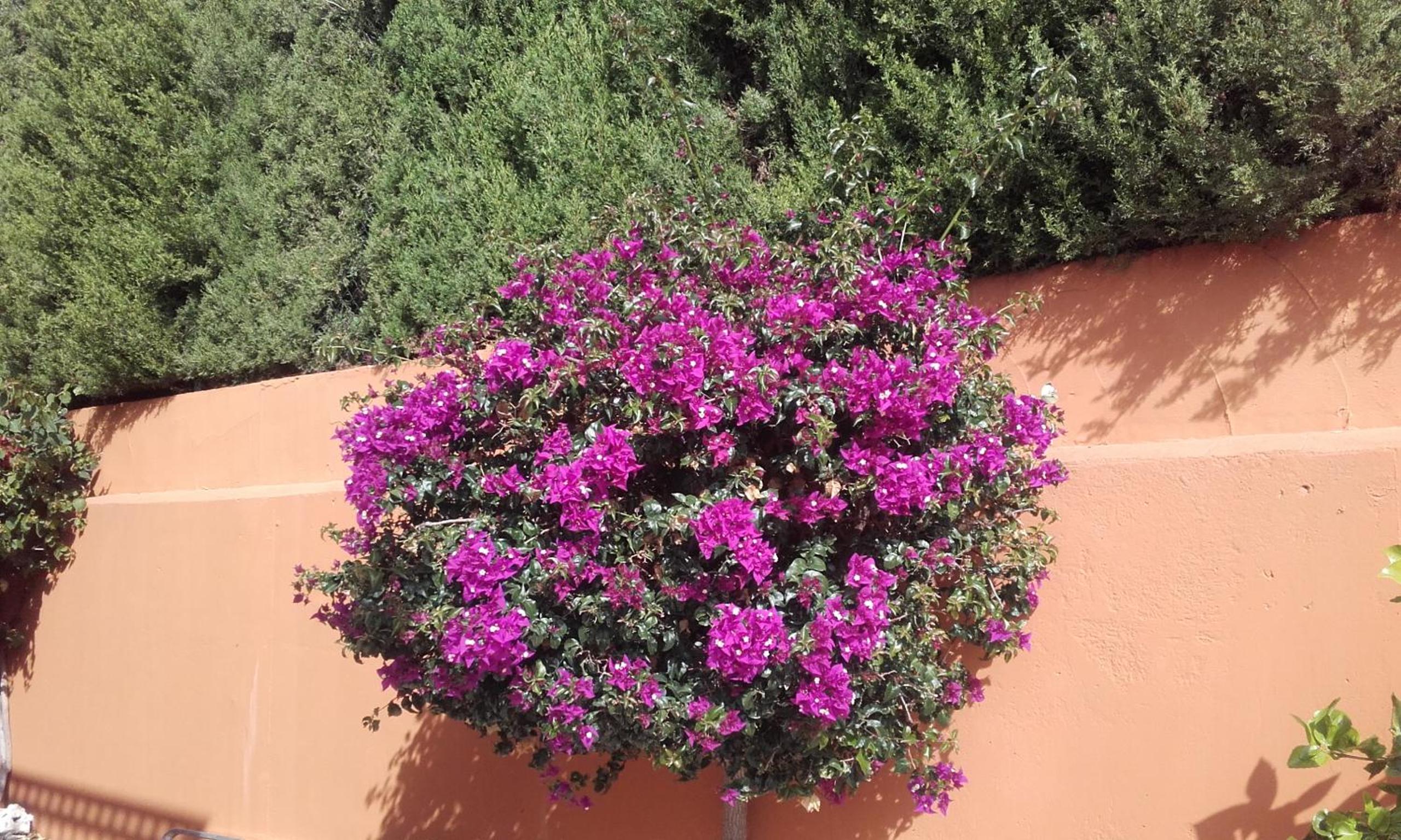 Hacienda el Retamar