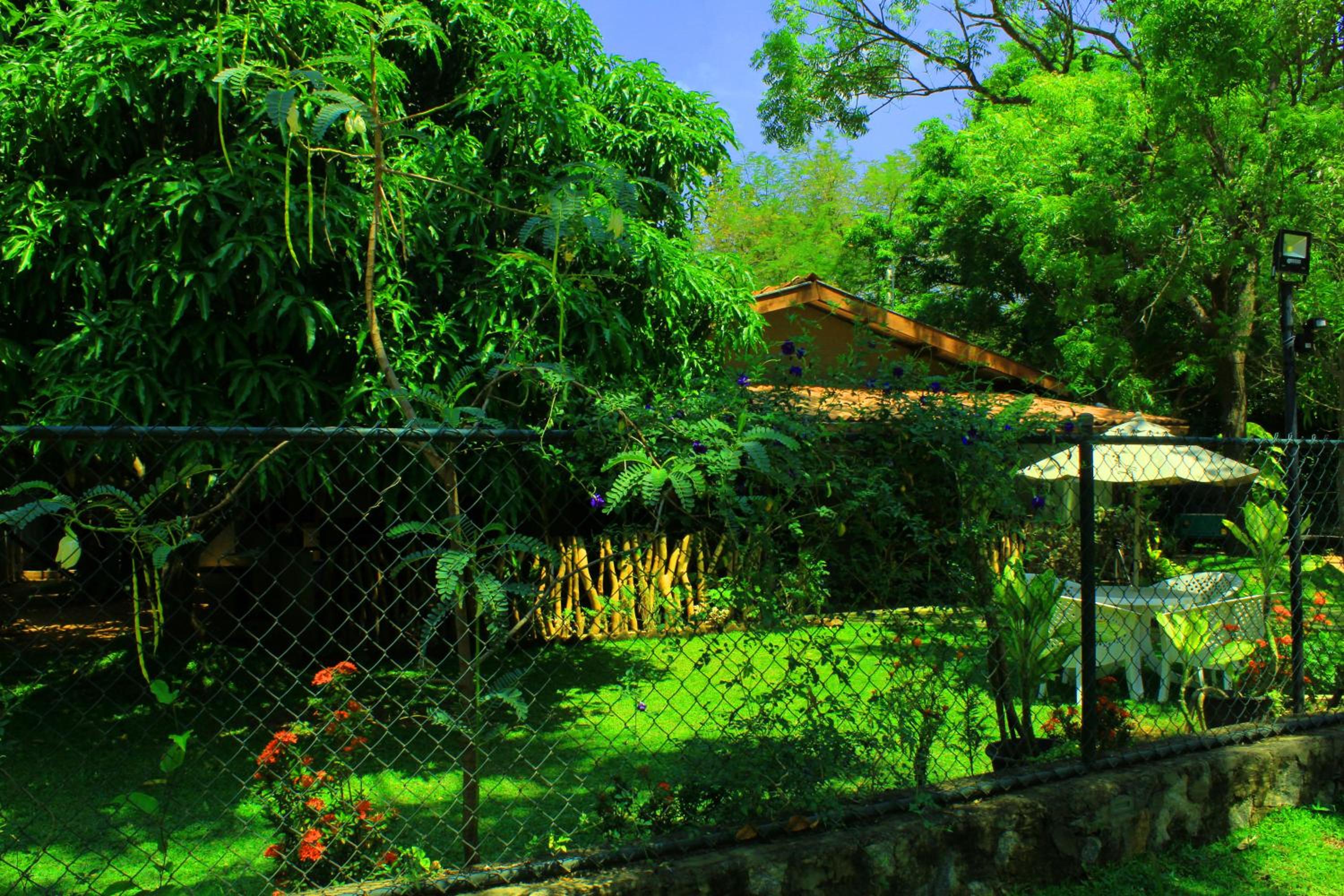 Photo 40