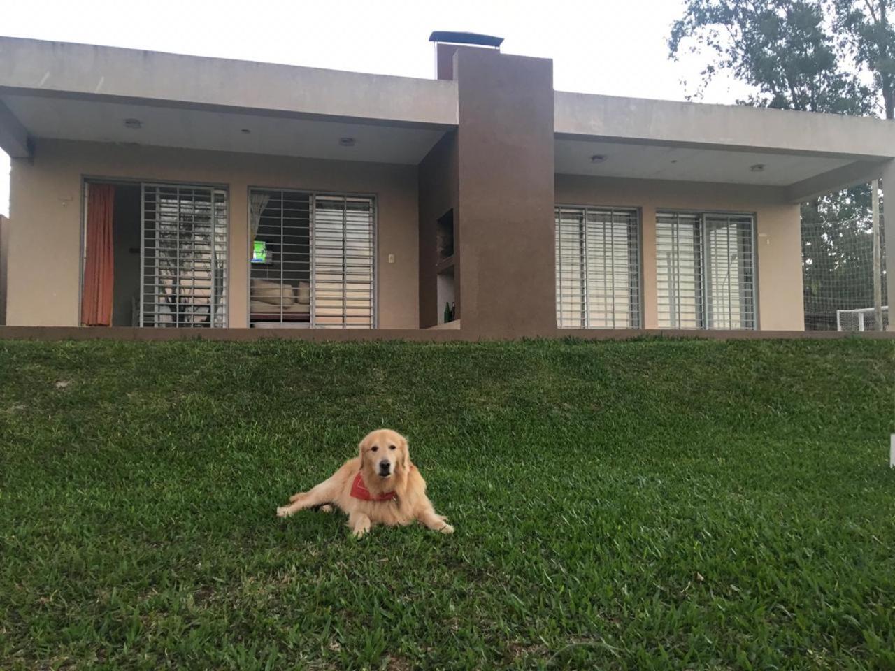 El VIEJI