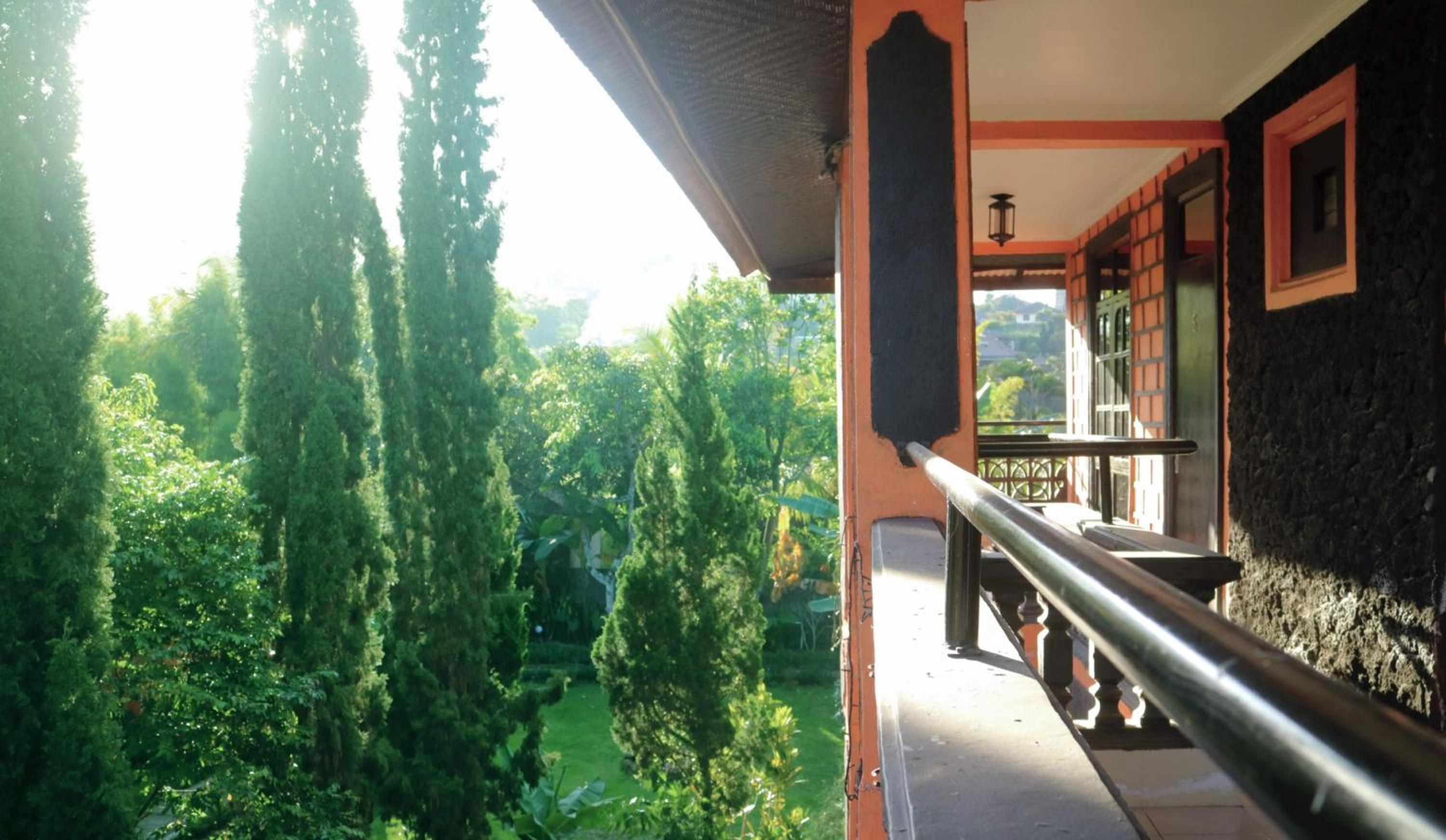 Photo 87