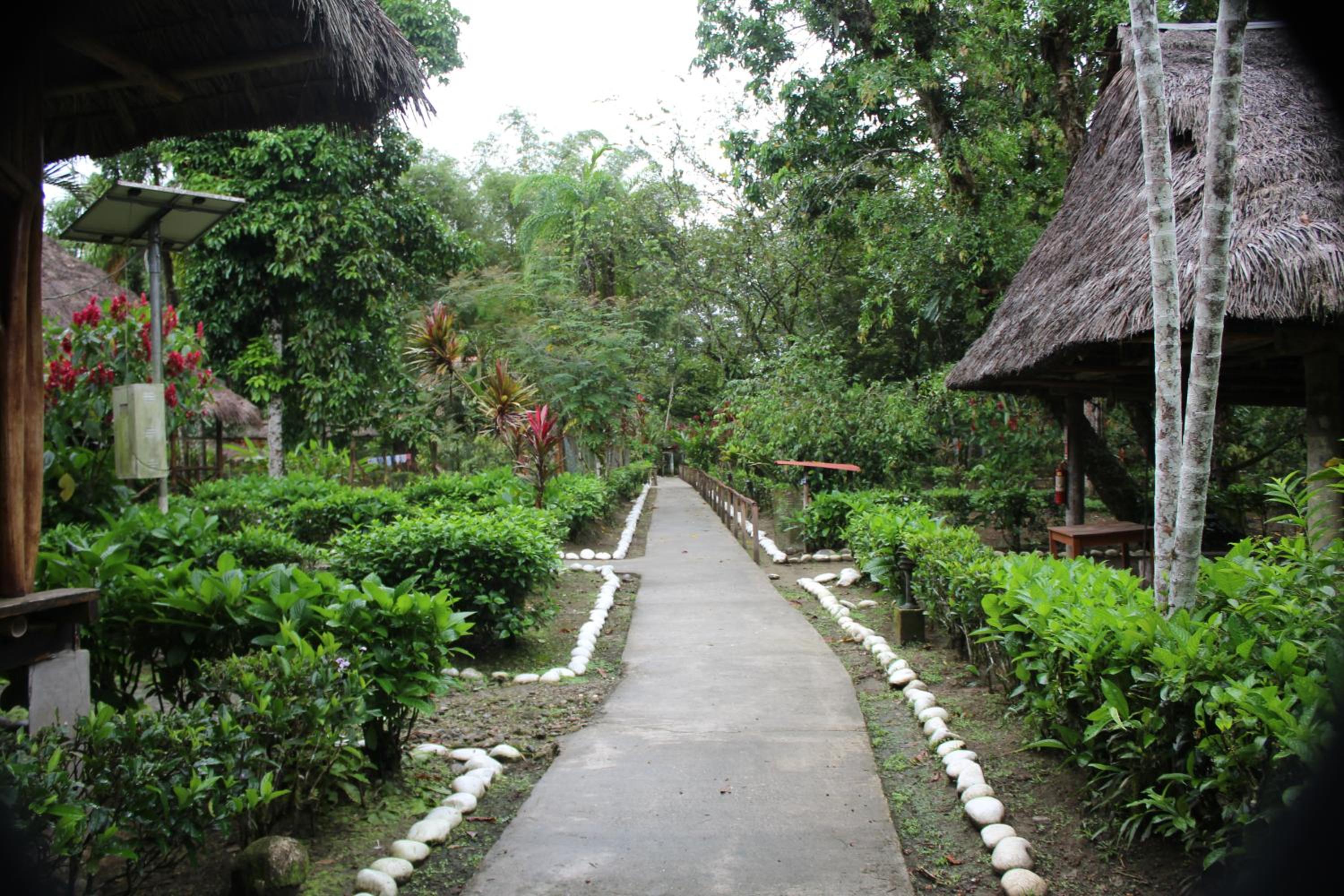 Mariana Miller Lodge