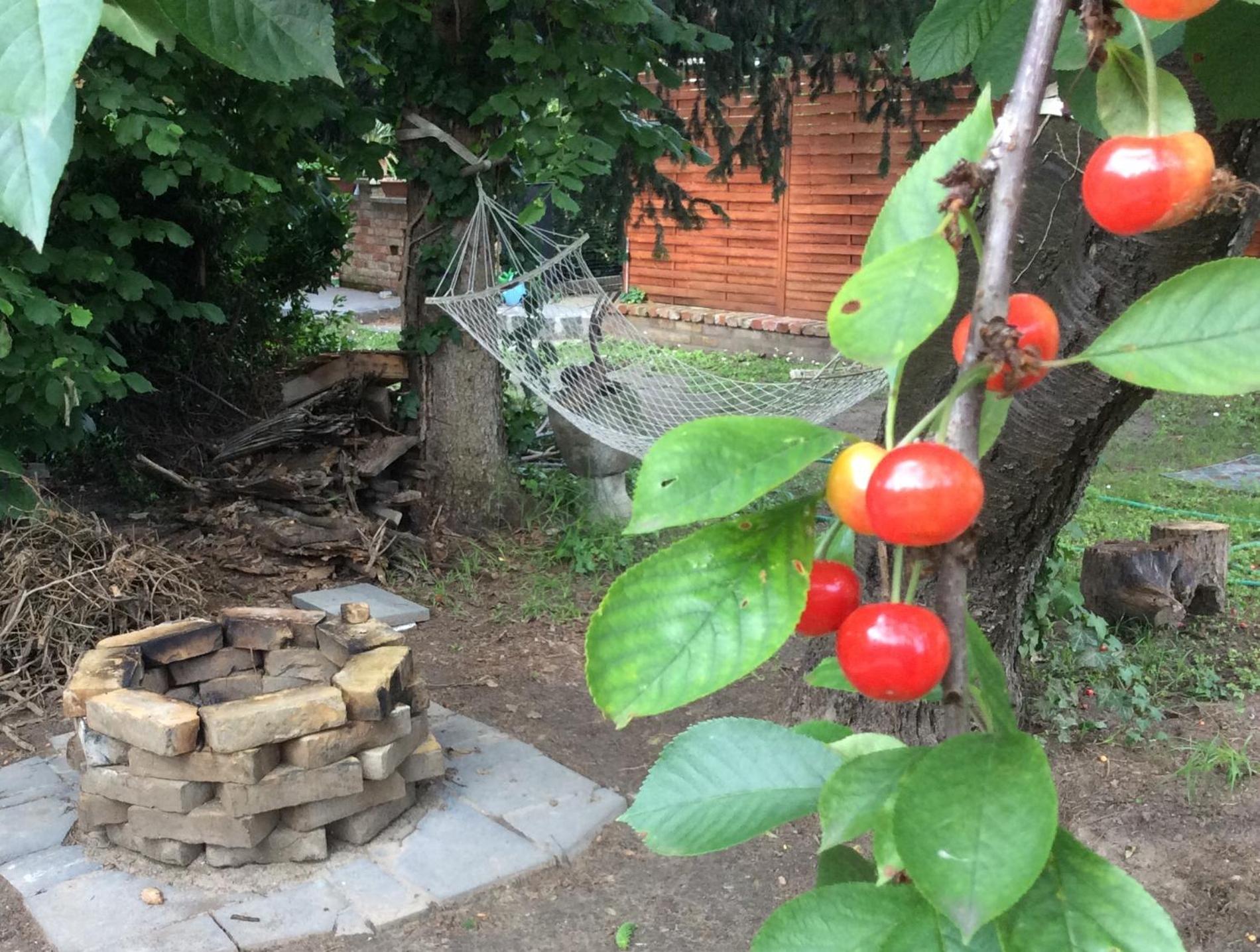Photo 35