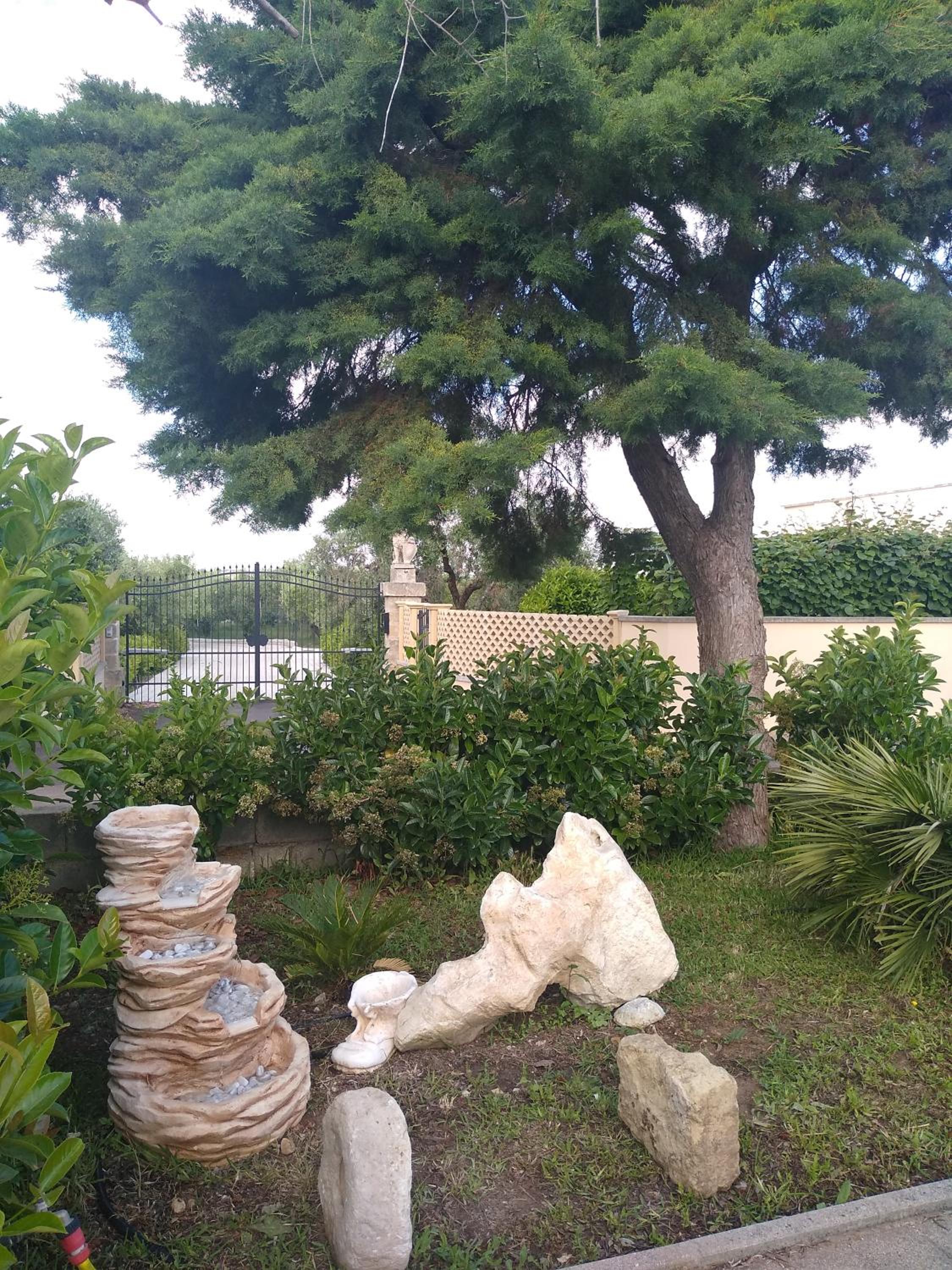 Photo 42