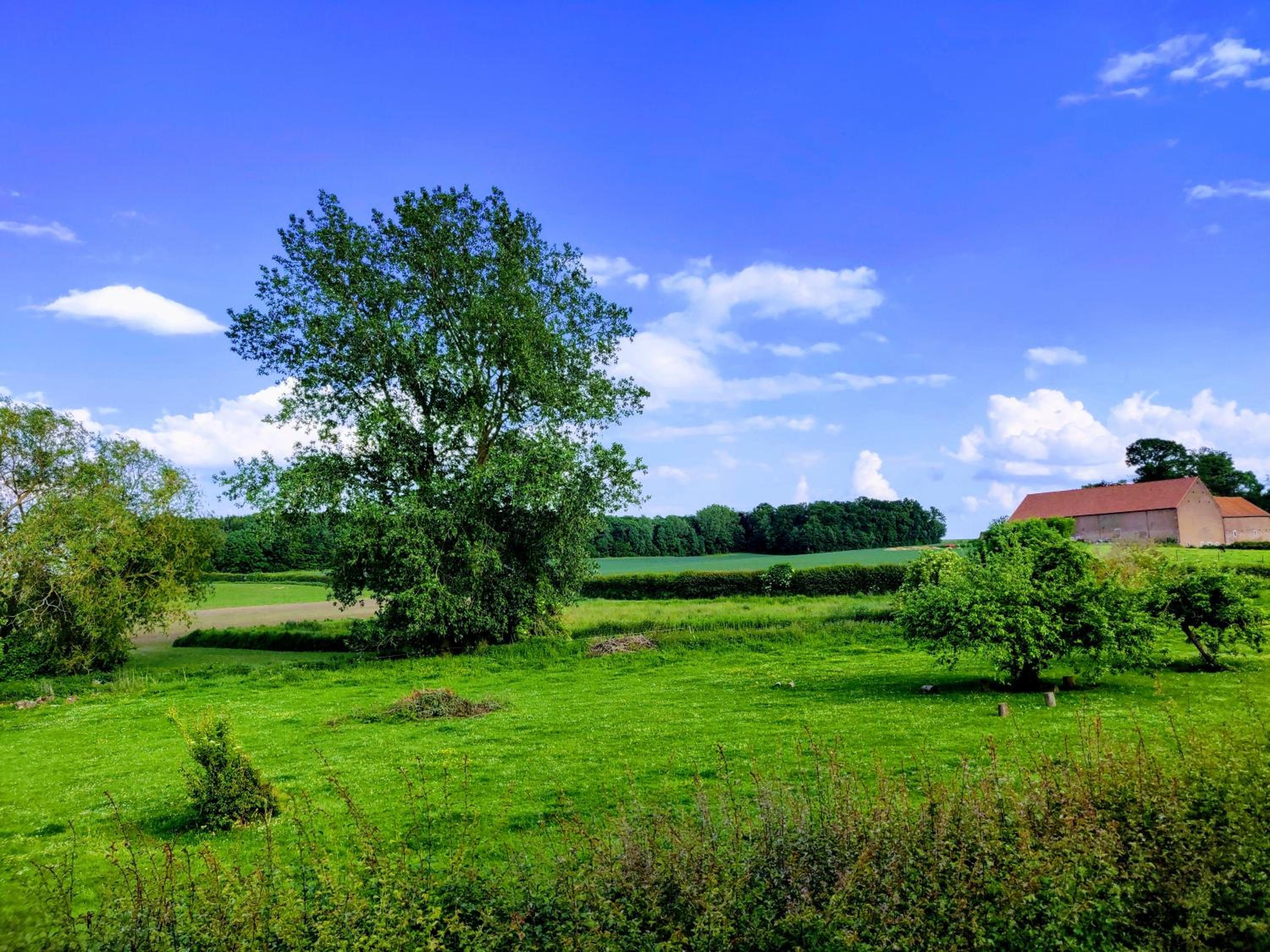 Wetterdelle Lodge