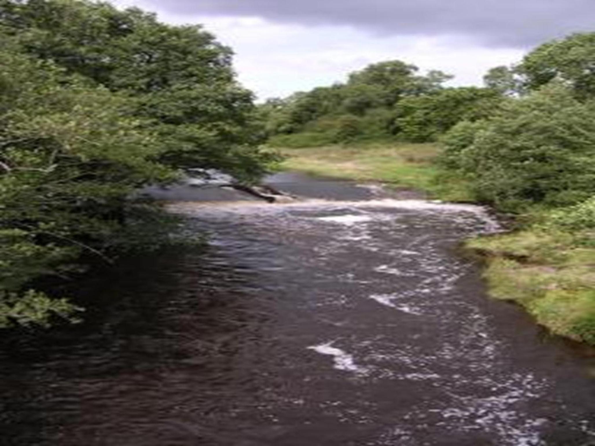 Photo 28