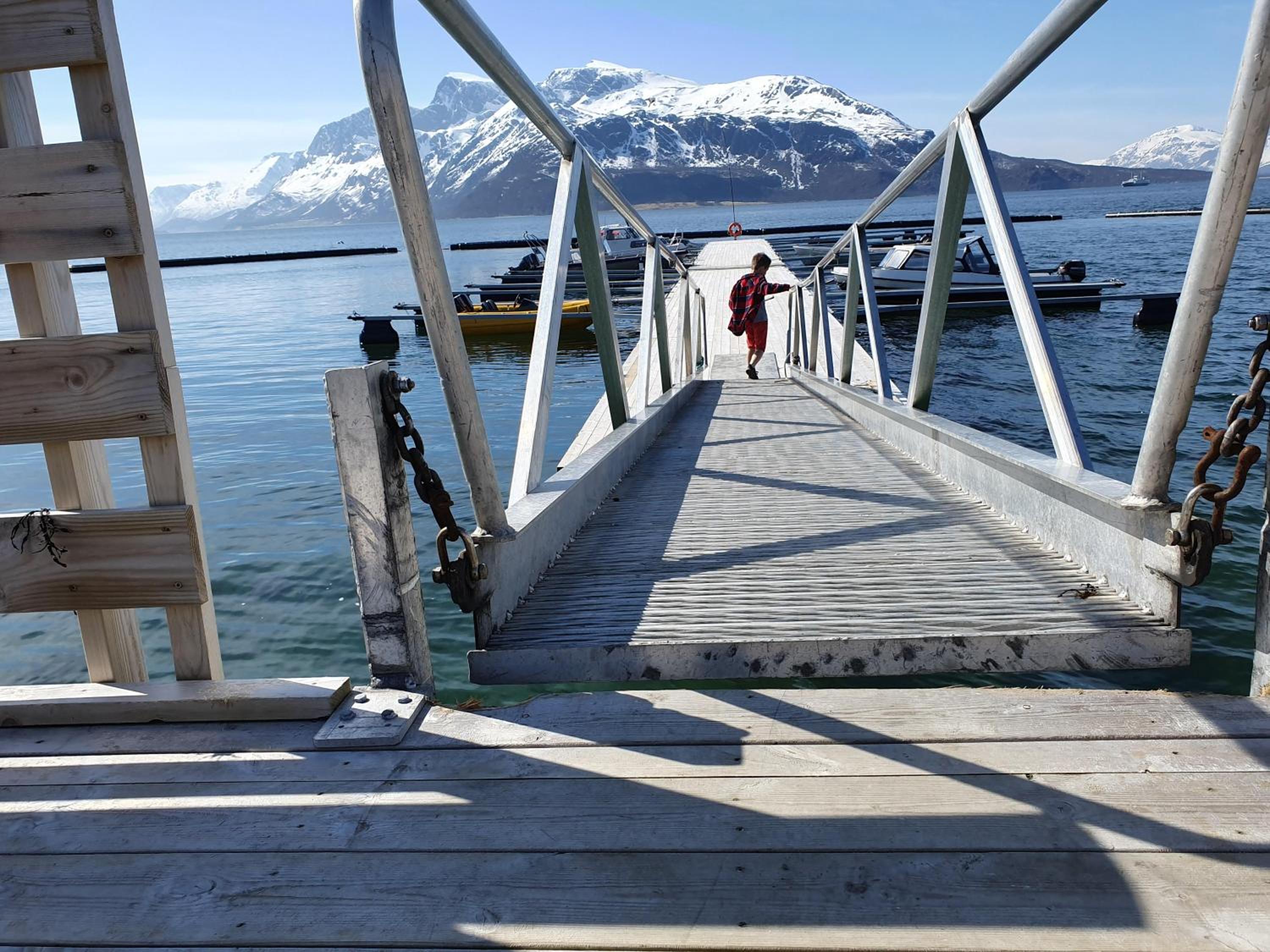 Photo 20