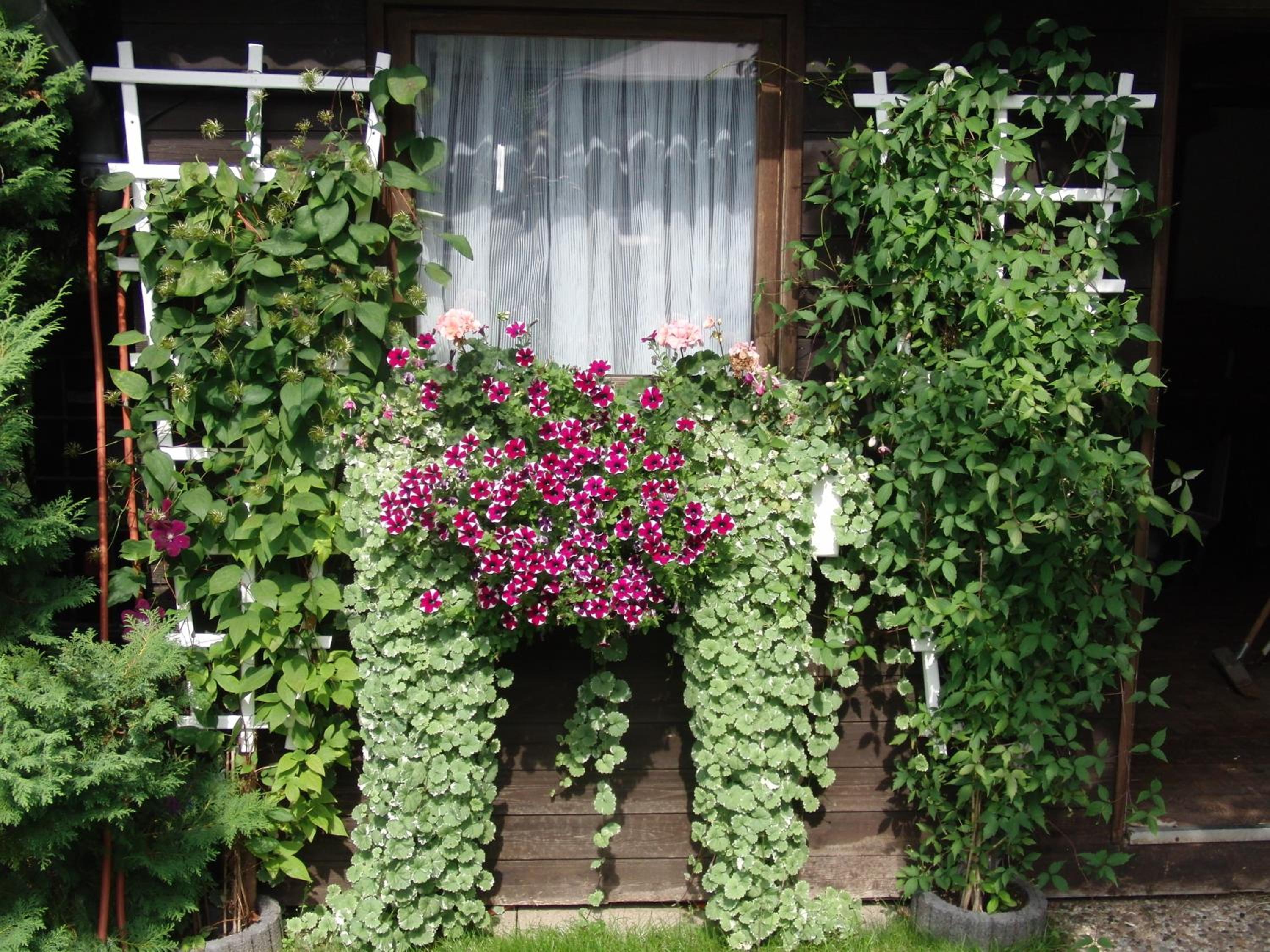 Gästehaus Spieker