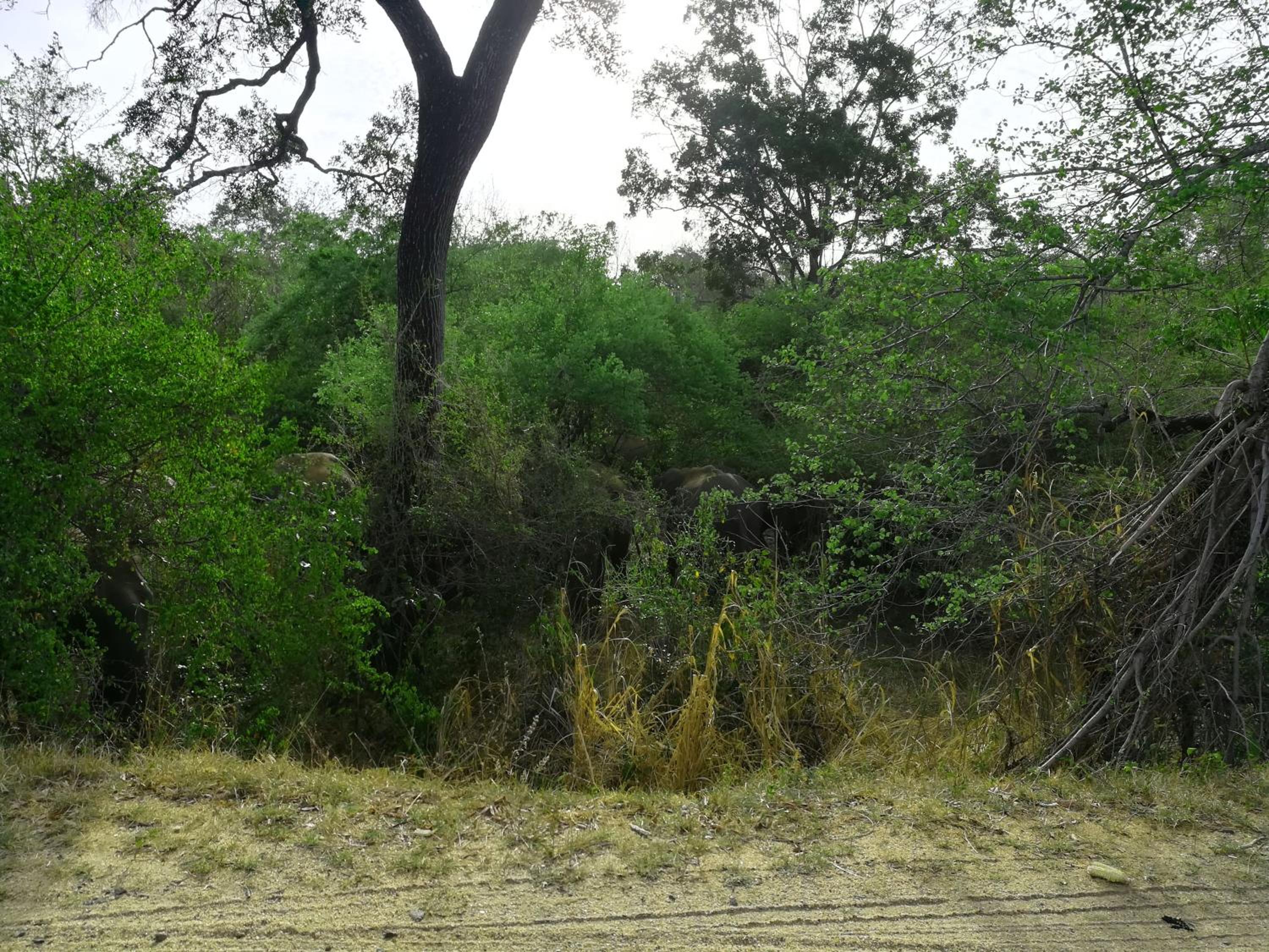 Photo 27