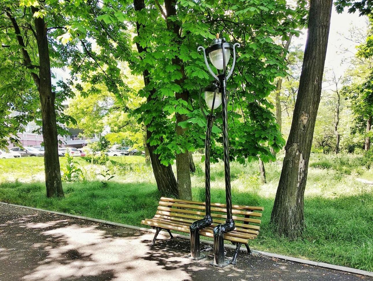 Photo 26