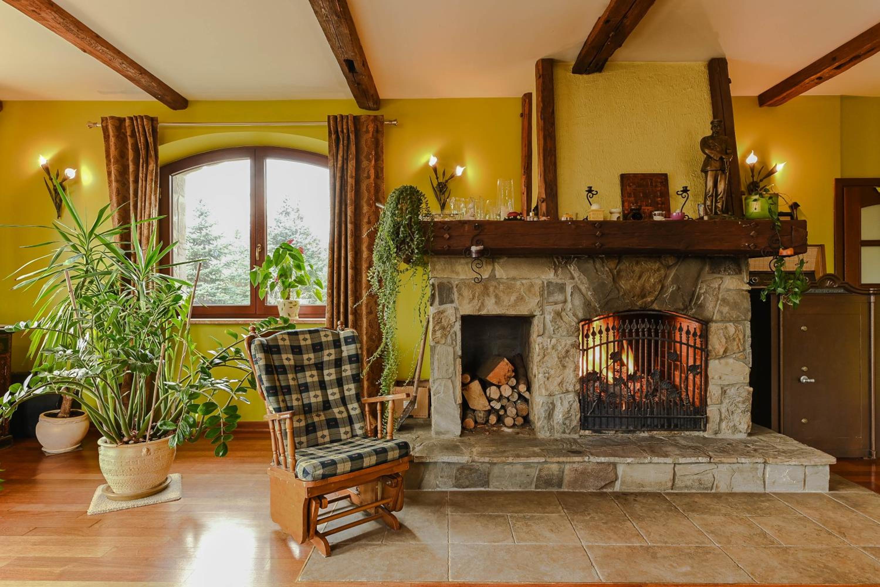 Villa Żelazowa Wola view 2