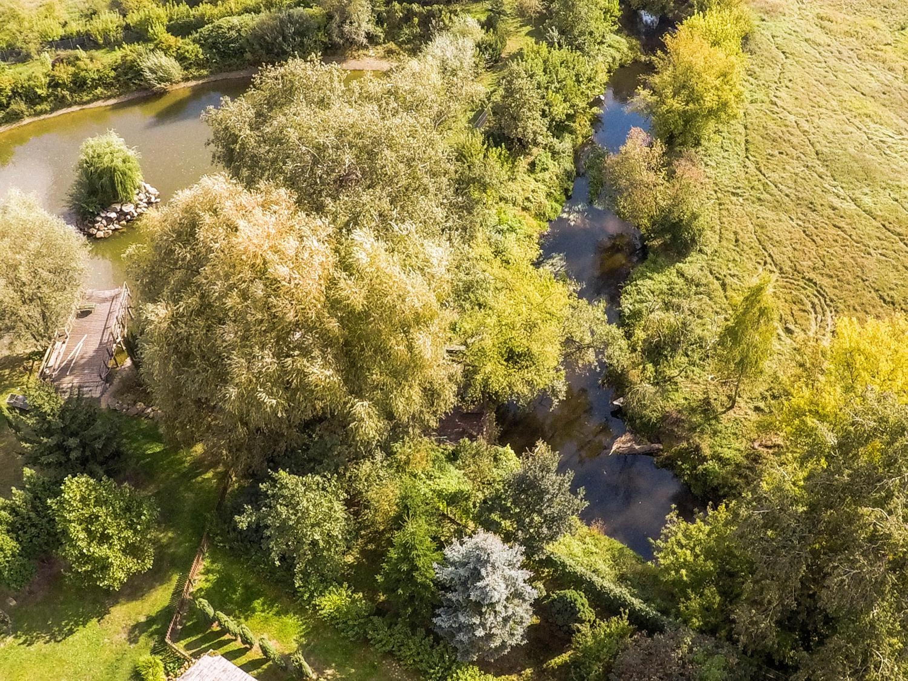 Villa Żelazowa Wola view 4