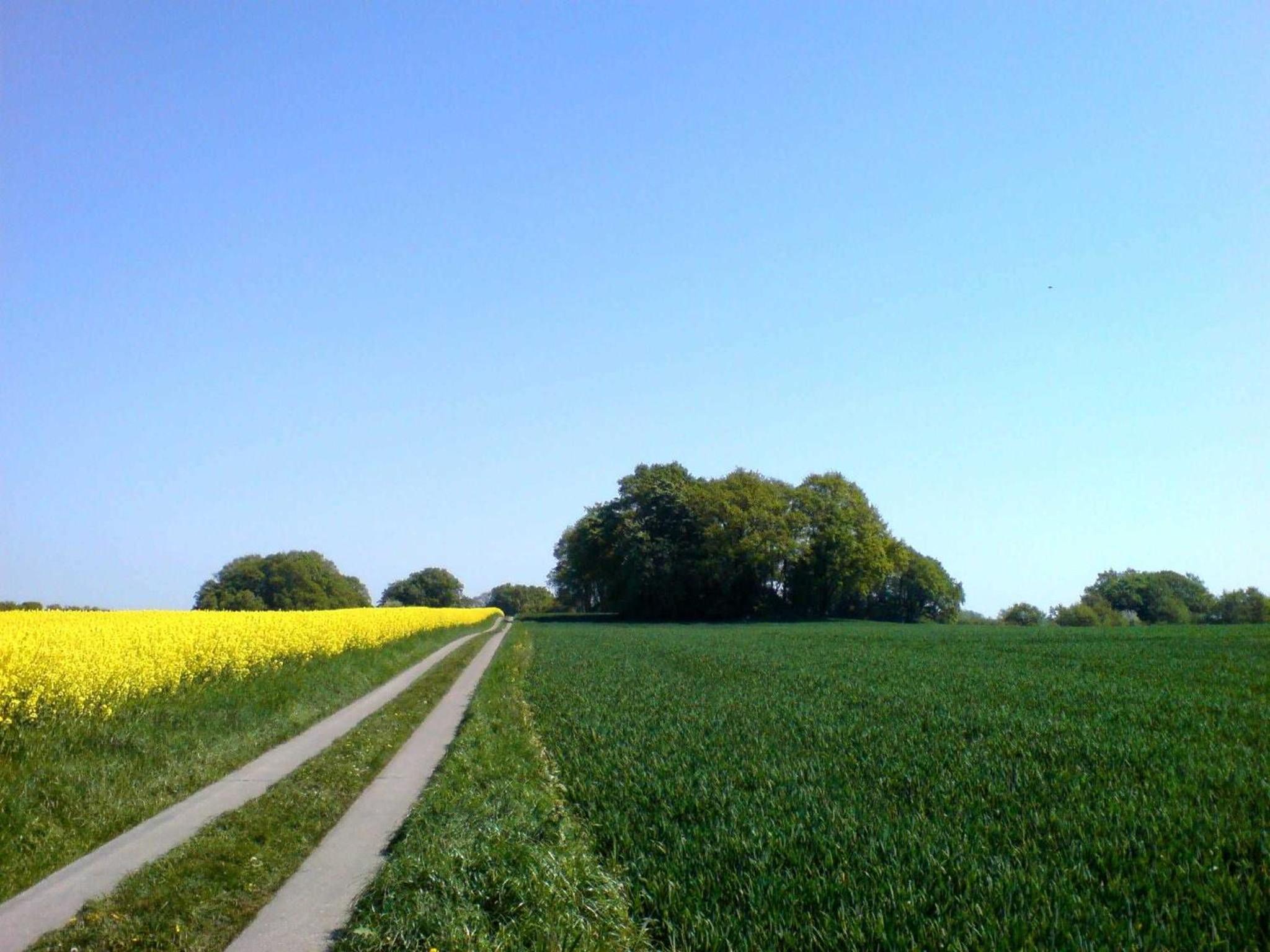 Ruegen_Fewo 123 view 2