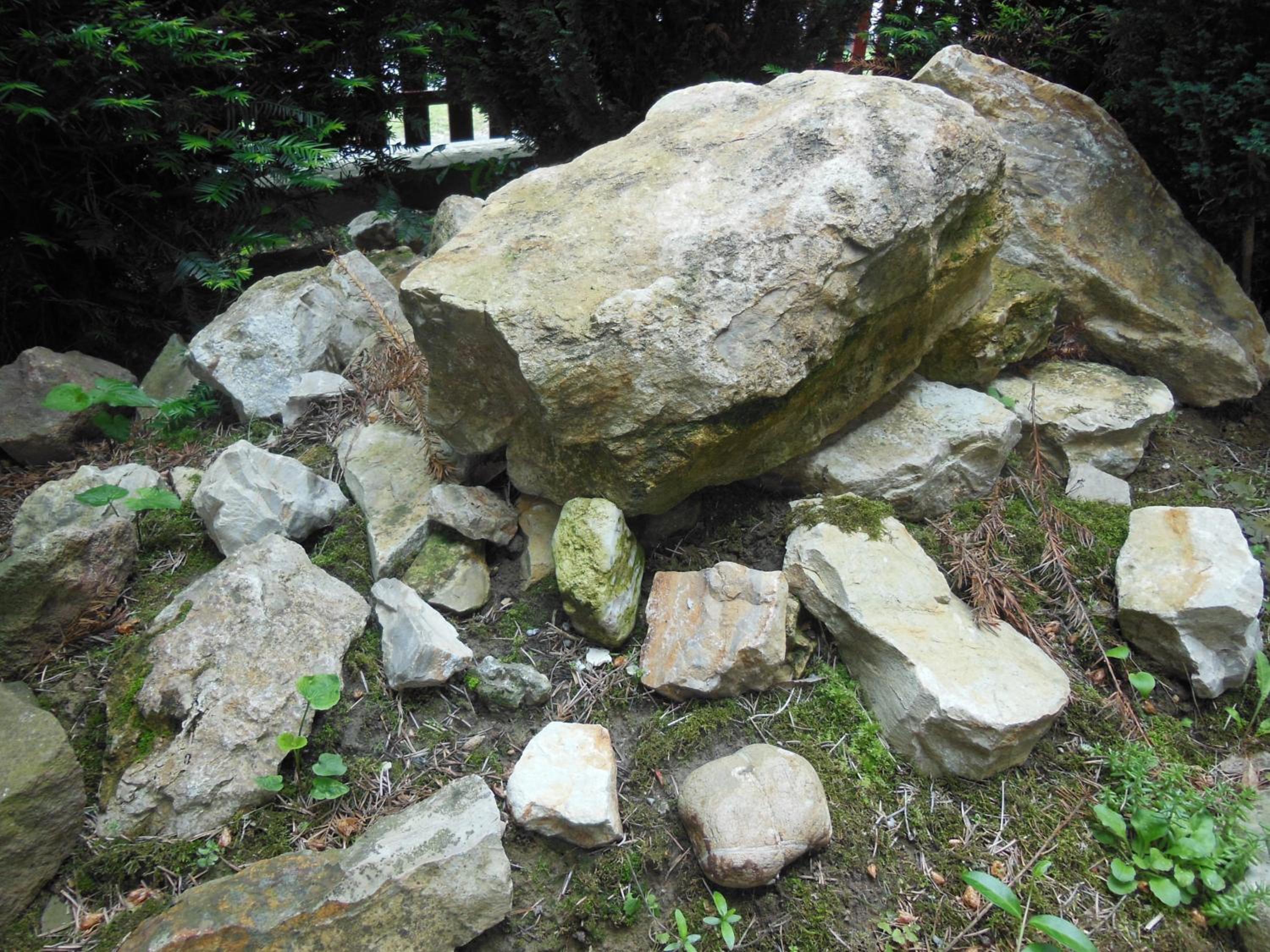 Photo 33