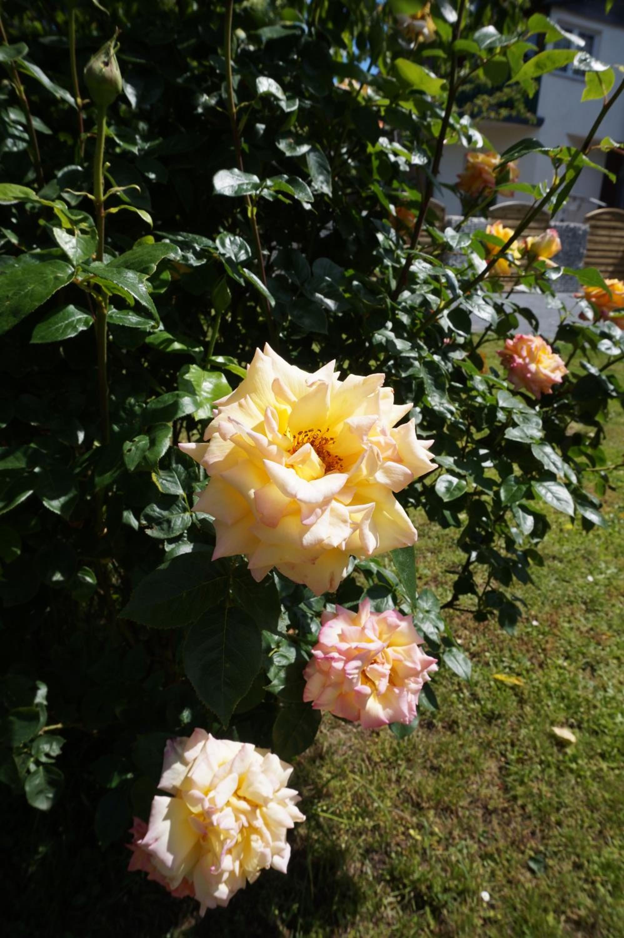 Photo 29