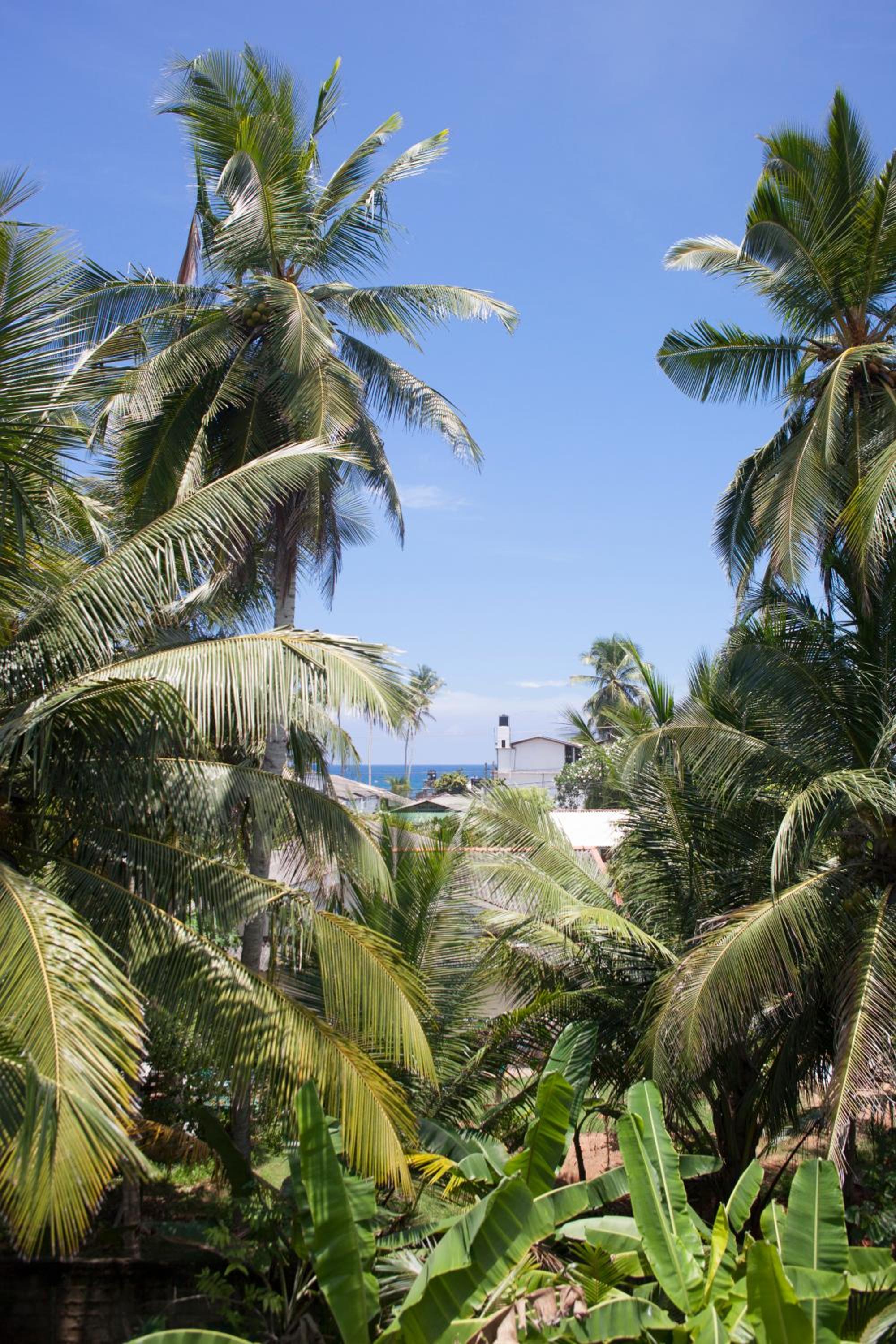 Alvas house view 5
