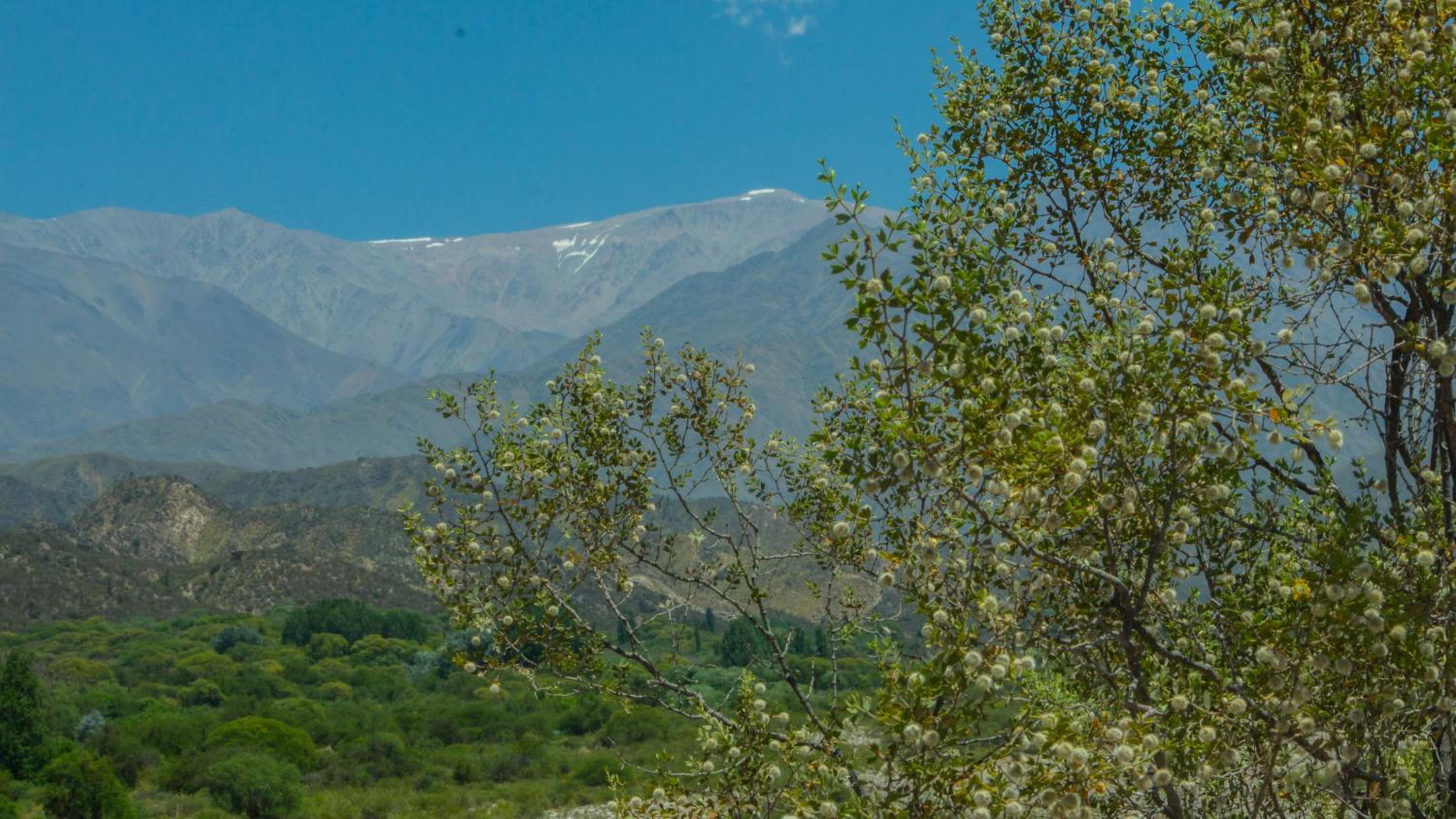 Cabañas de Montaña Rio Amarillo