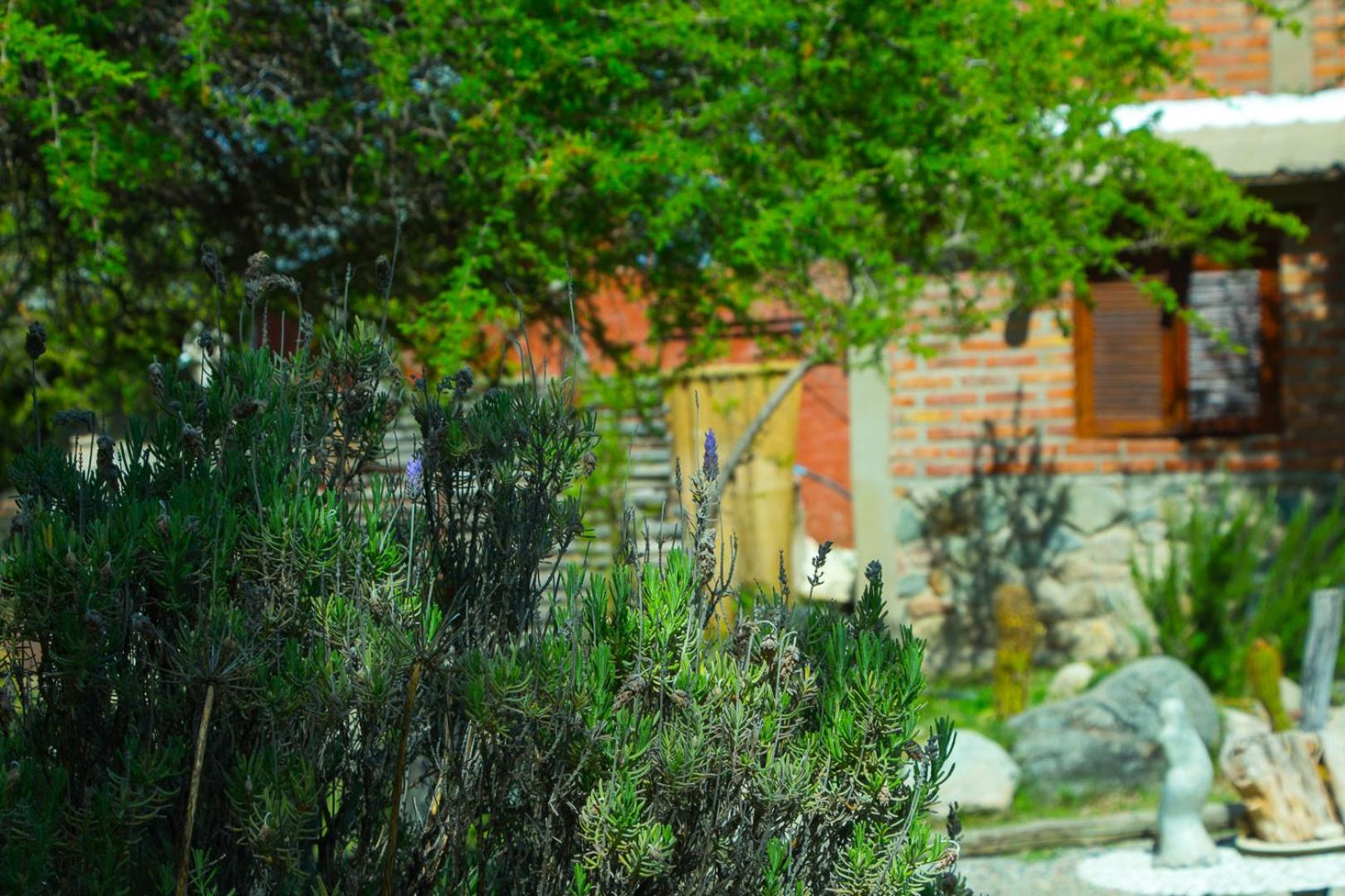 Cabañas de Montaña Rio Amarillo