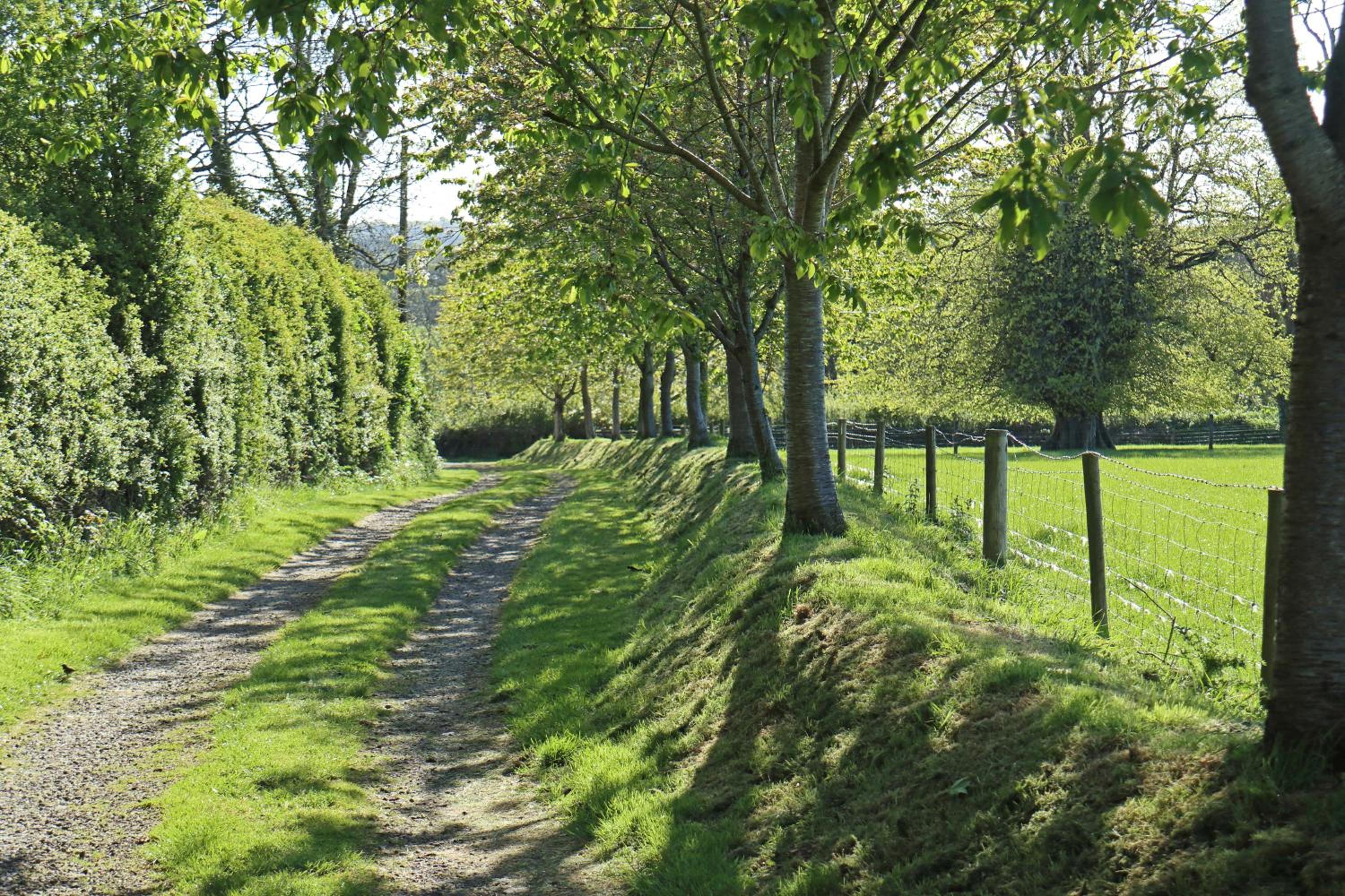 Okehampton Vacations - Lovaton Farmhouse - Property Image 18