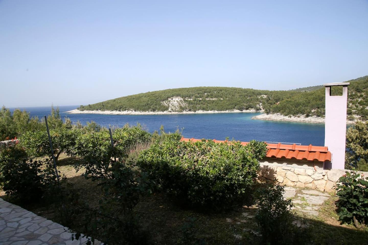 Photo 44