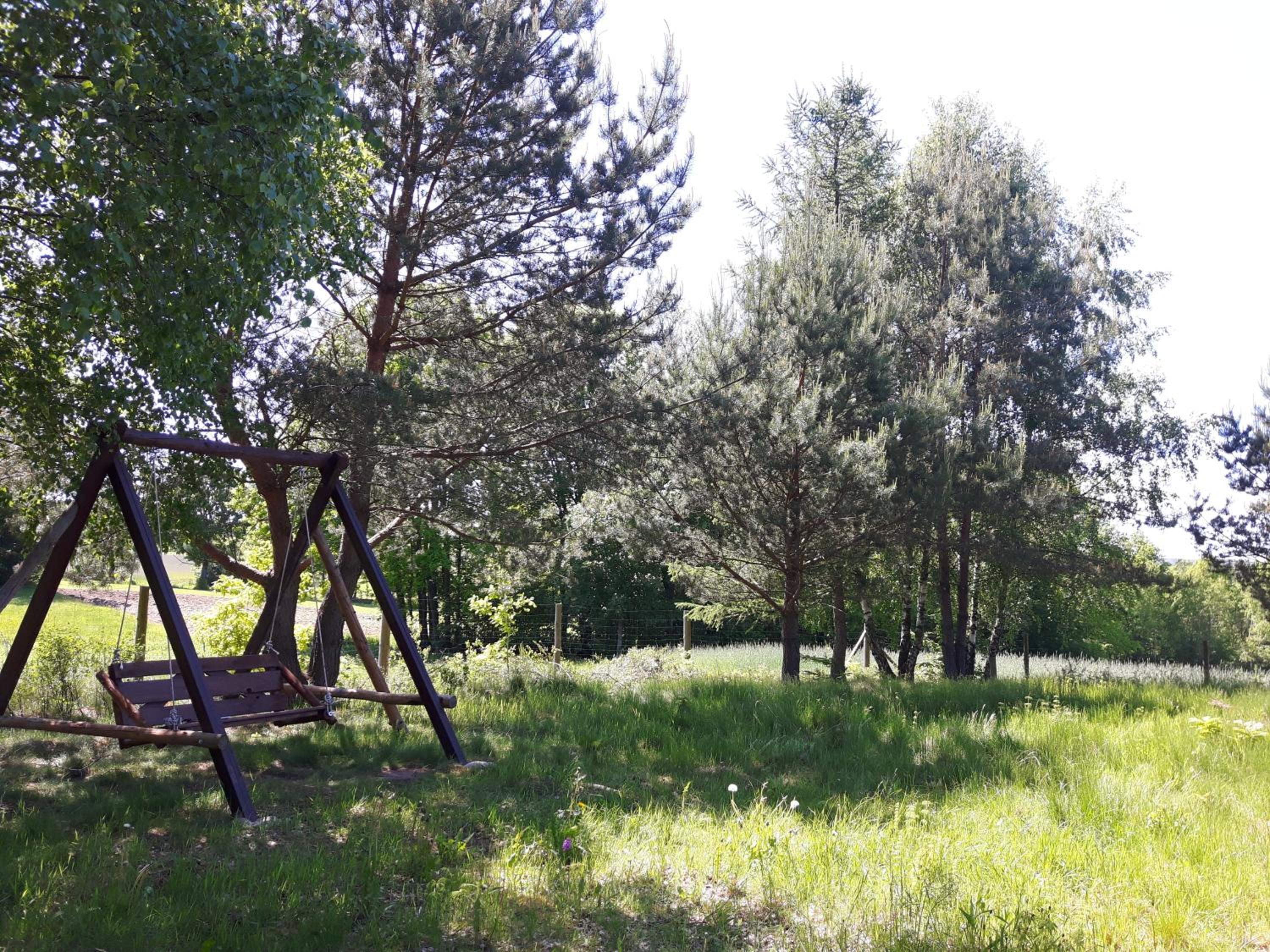 Photo 29