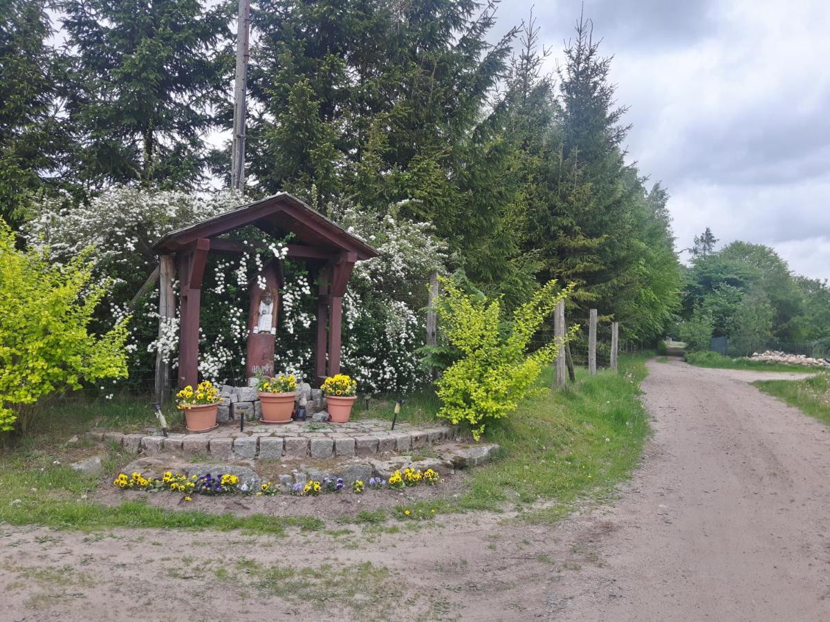 Photo 32