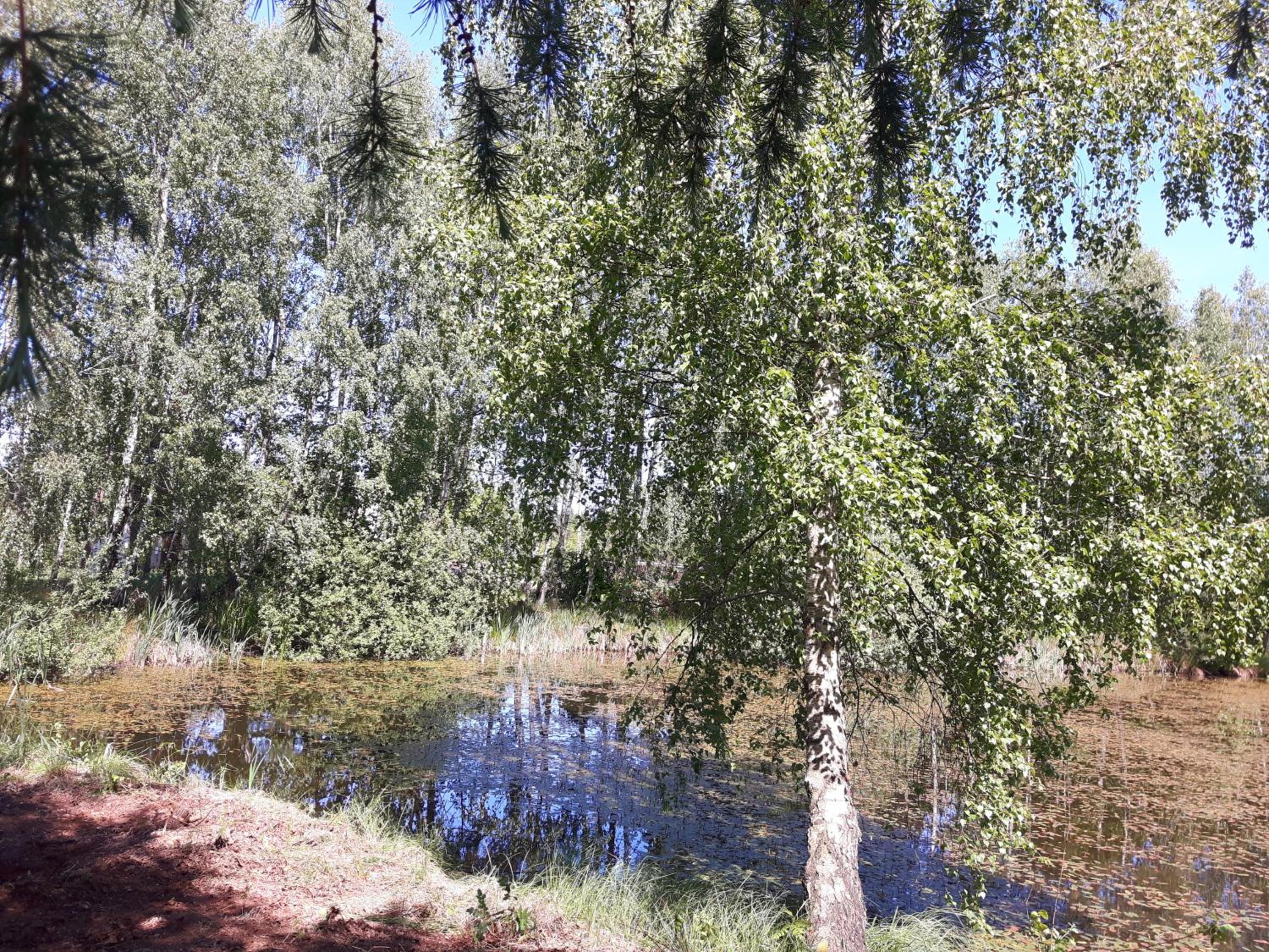 Photo 30