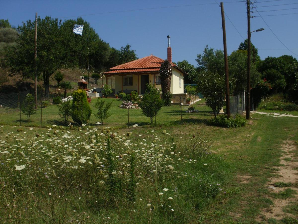Photo 17