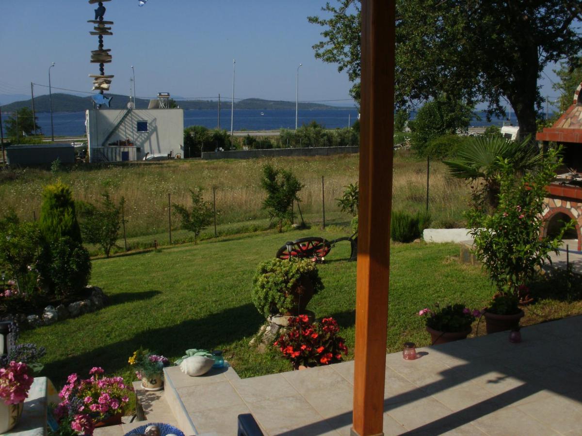Photo 23