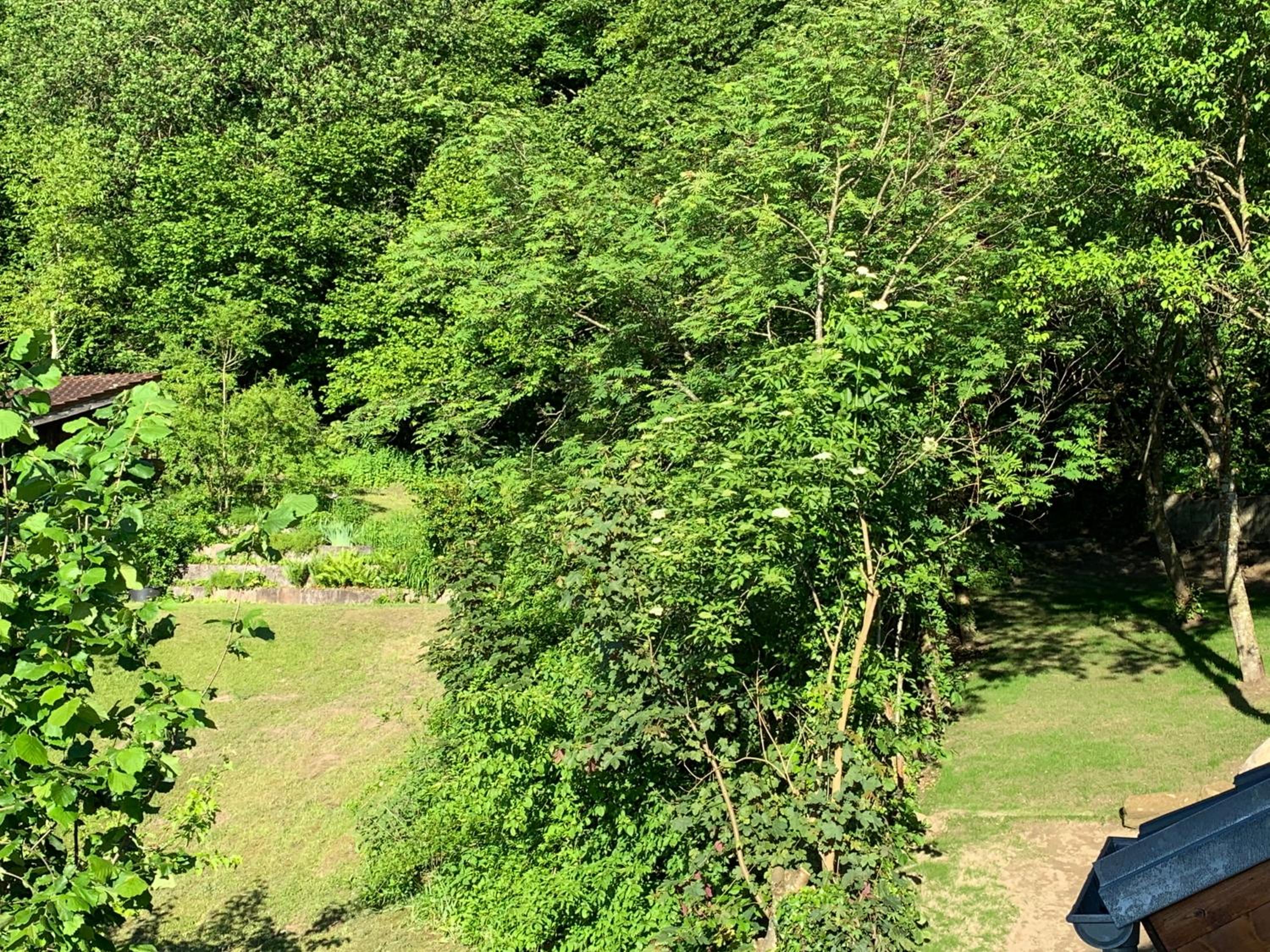 Silvias Ferienwohnung - Apartment mit Seeblick am Uferpark Überlingen, Bodensee view 5