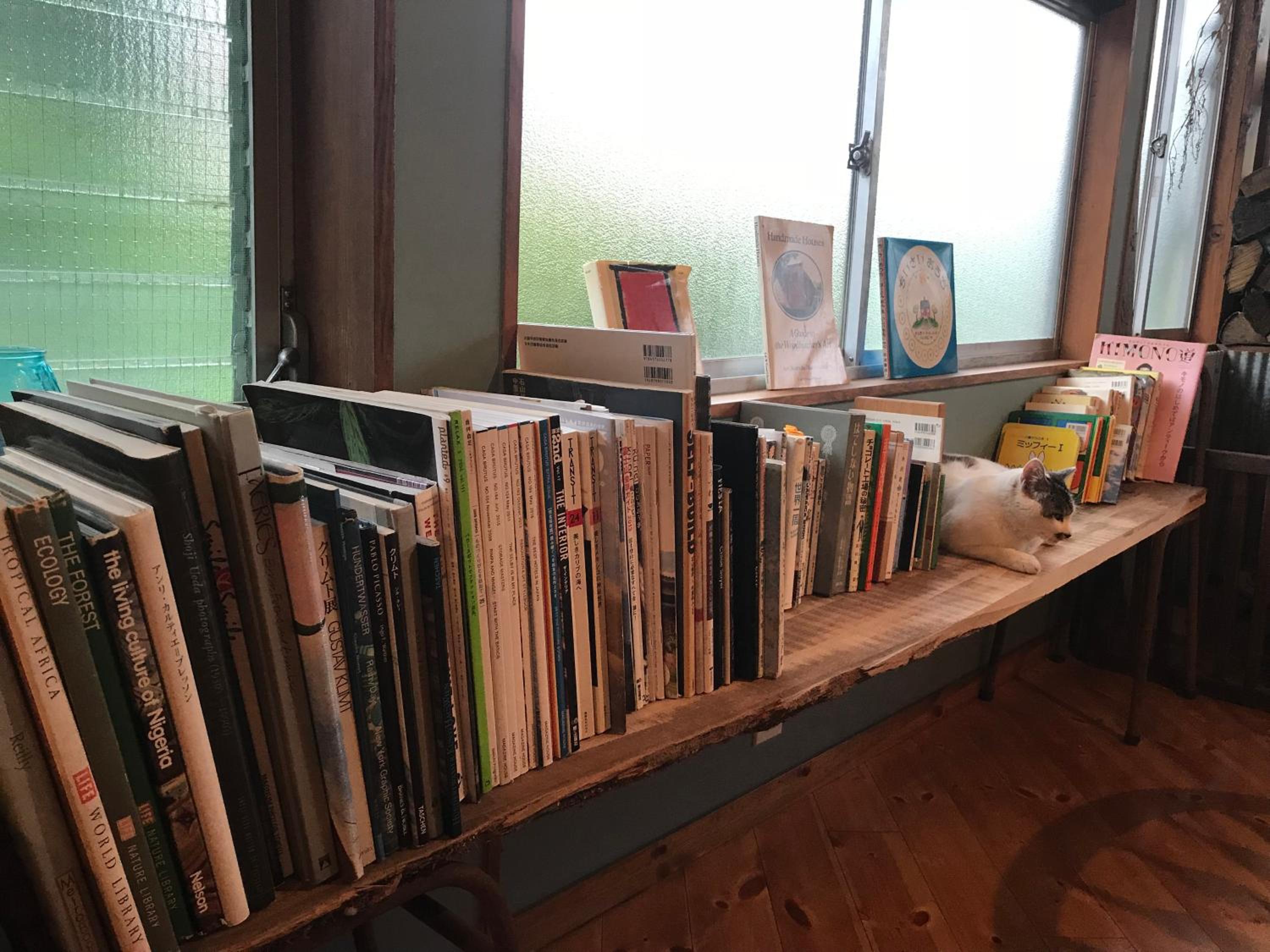 Photo 17