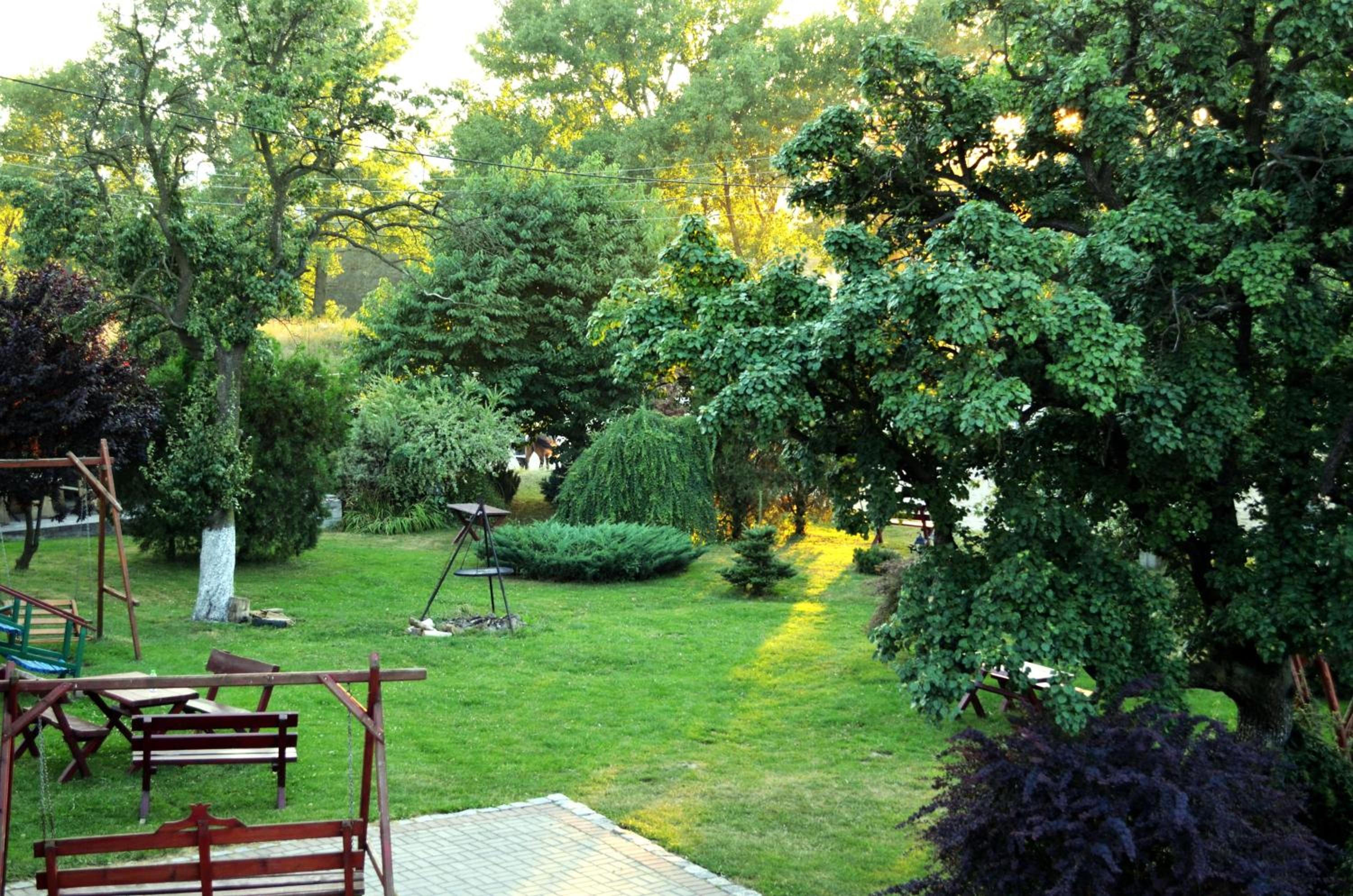 Photo 23