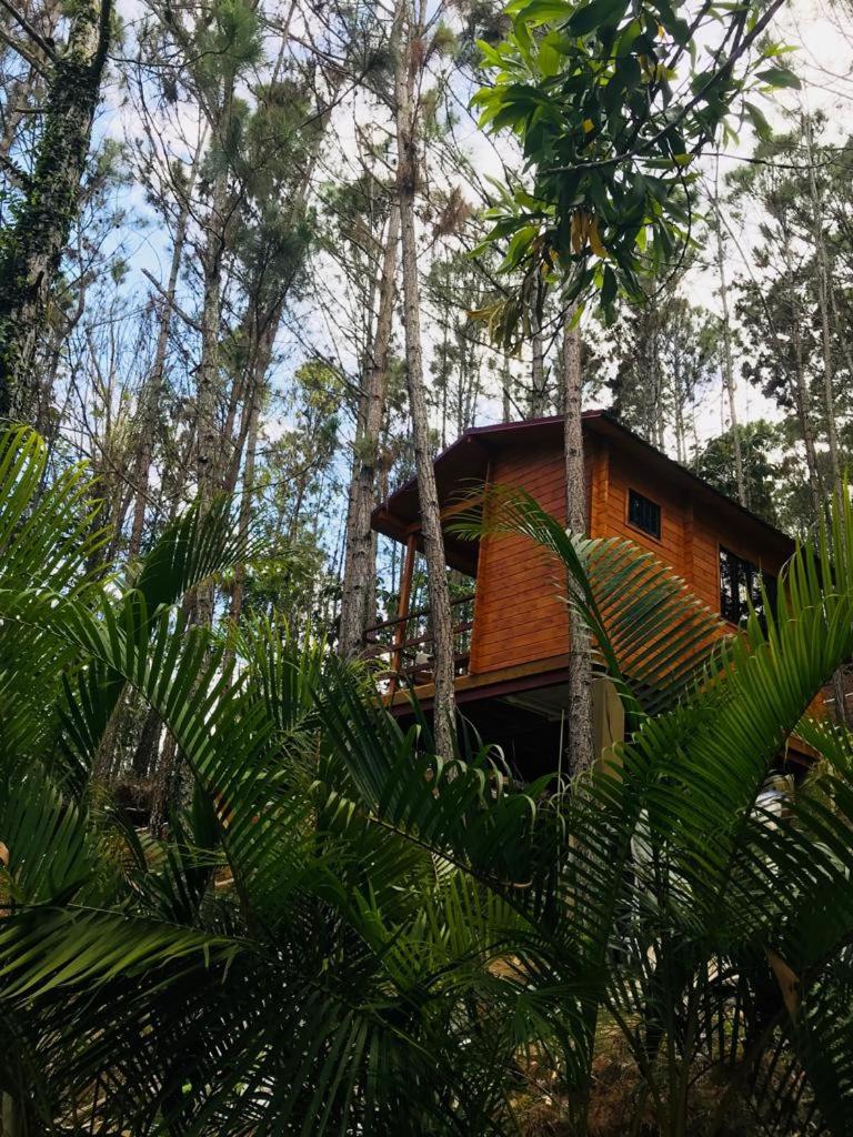 Casa de Arbol, Rancho Tierra Alta