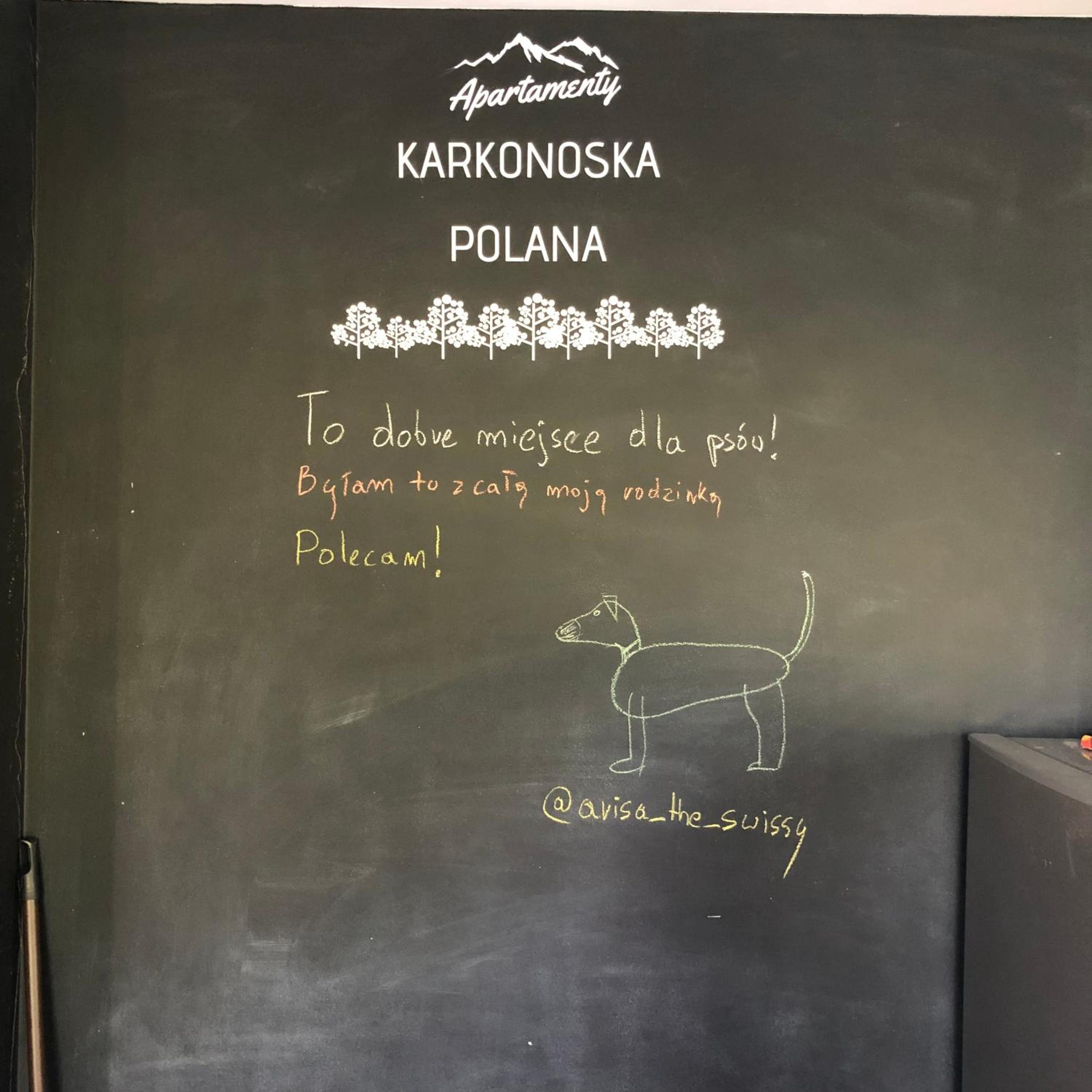 Apartamenty Karkonoska Polana view 5
