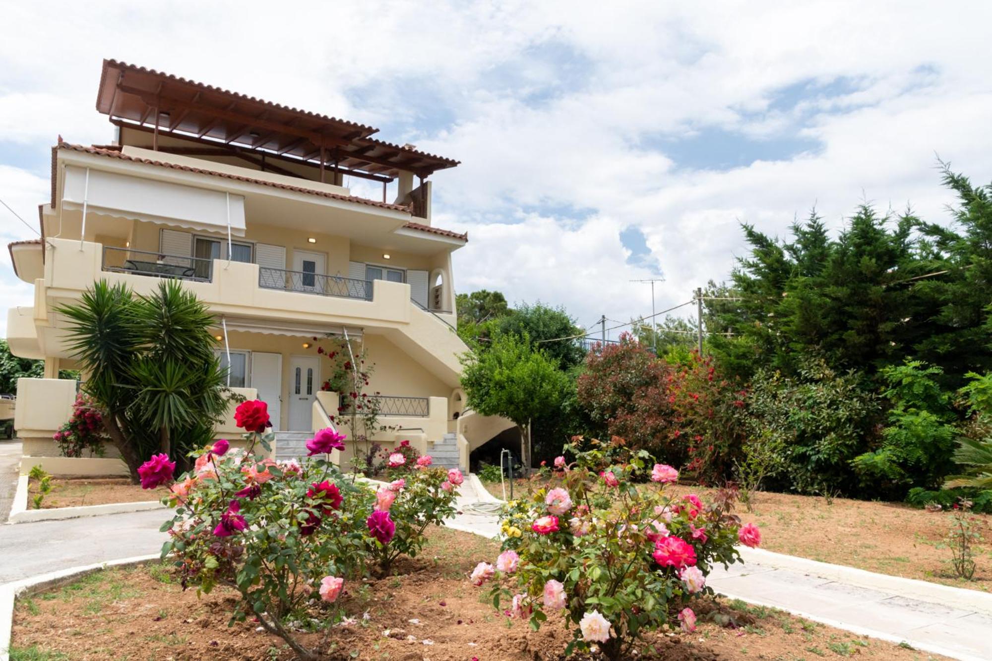 Rose's House (Near Airport) view 3