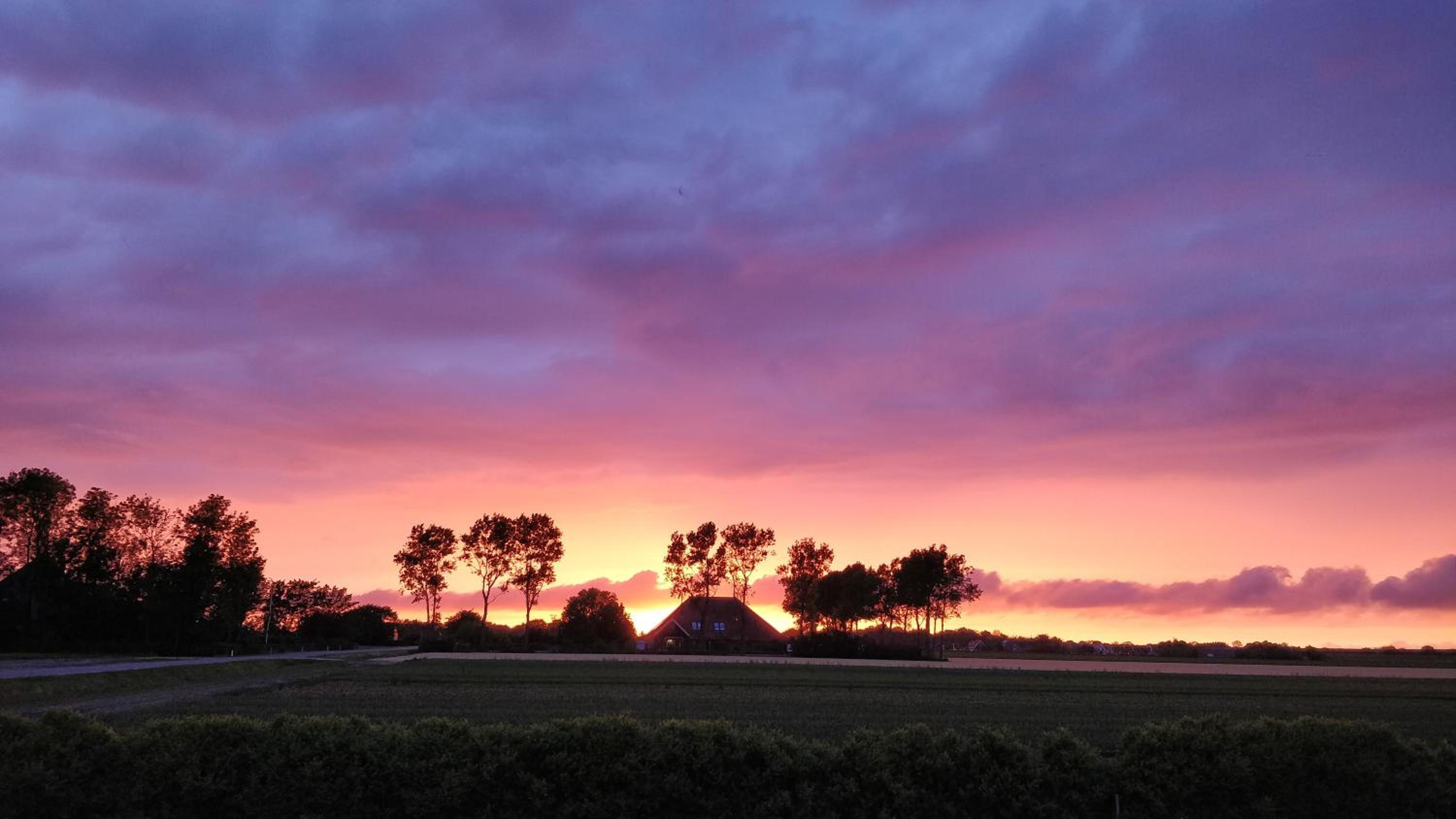 Camping De Tulpenweide lege Kampeerplaats, lege plaats op het gras zonder bed